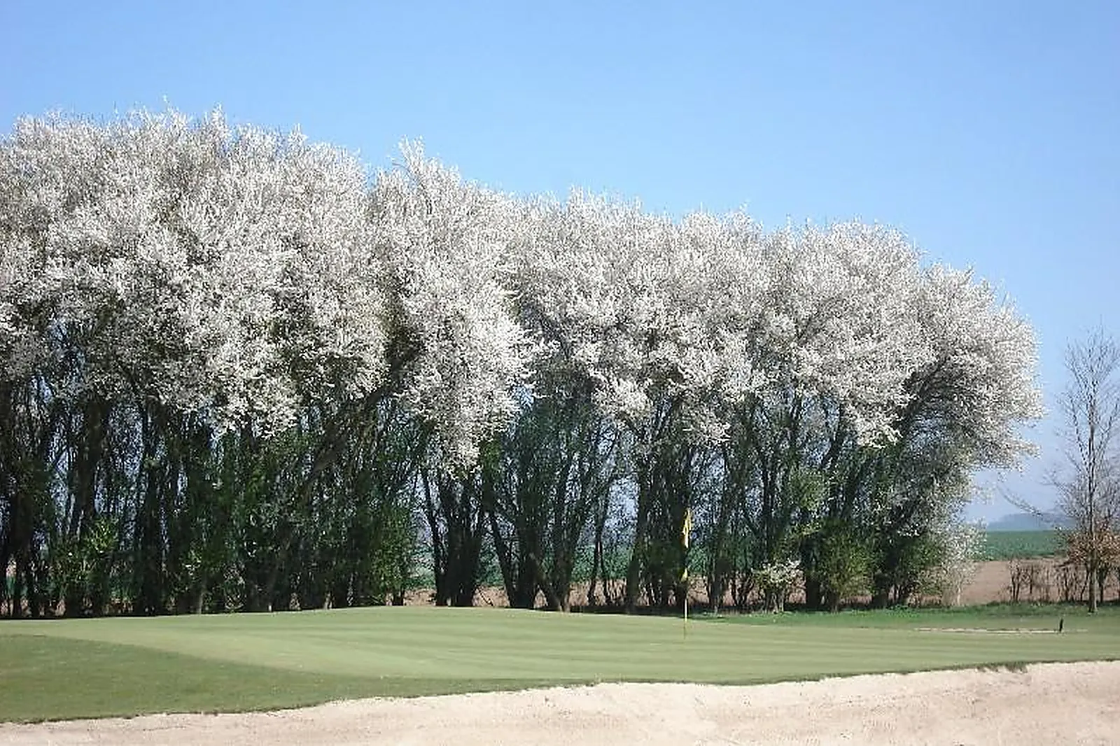 Lieux événementiels, GOLF CLUB DU GRAND AMIENS