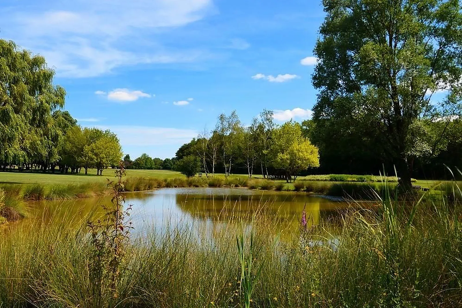 Lieux événementiels, GOLF LA COMMANDERIE