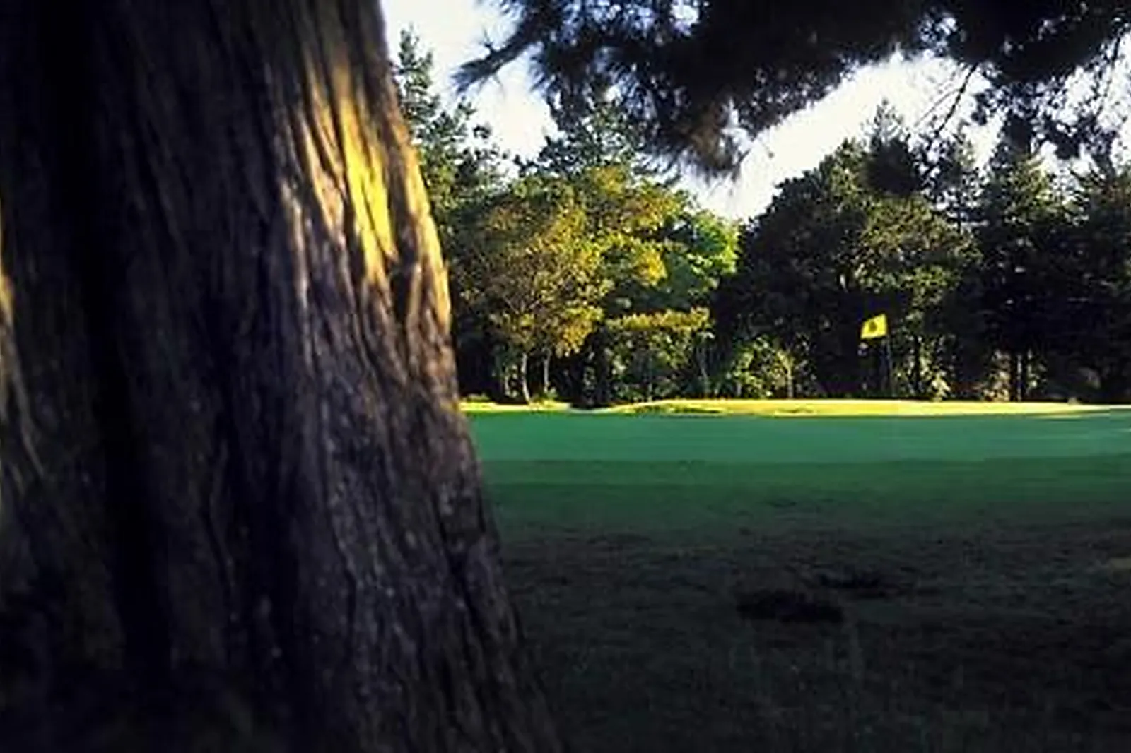 Lieux événementiels, GOLF DE PORNIC