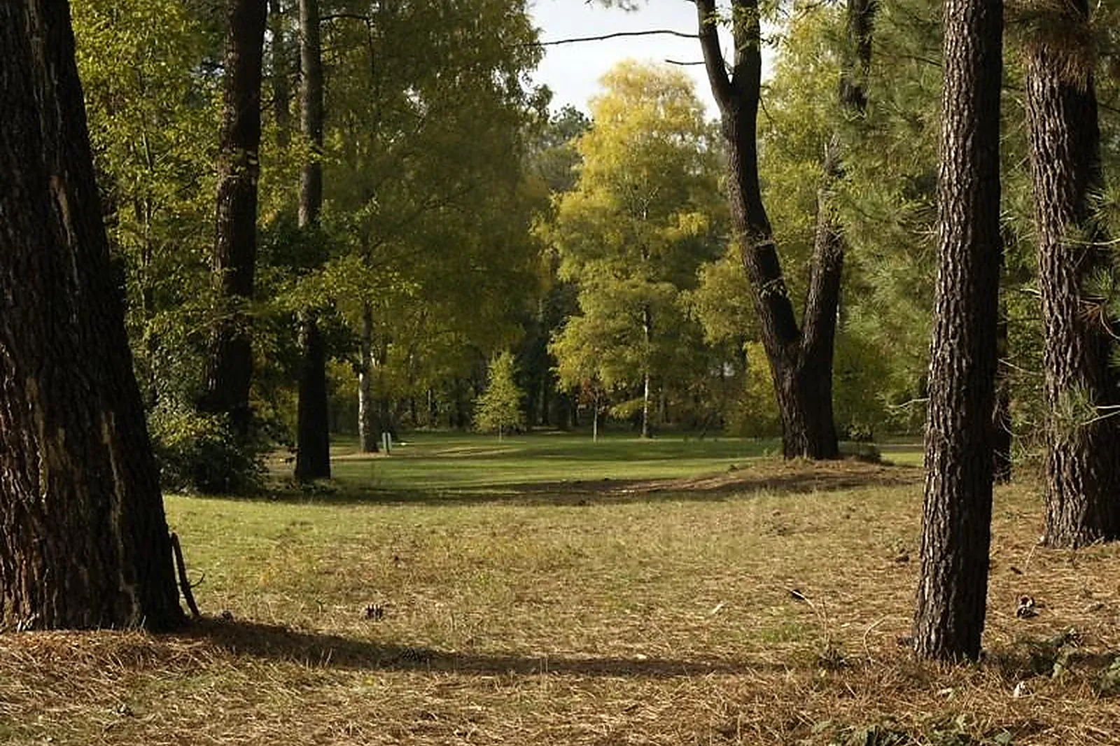 Lieux événementiels, GOLF DES 24 HEURES