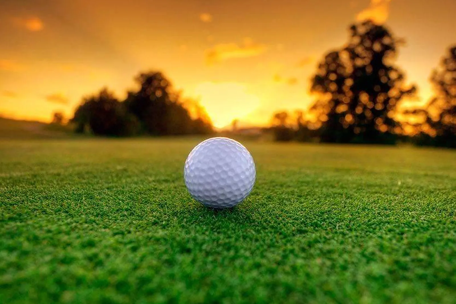 Lieux événementiels, GOLF DU BASSIN BLEU