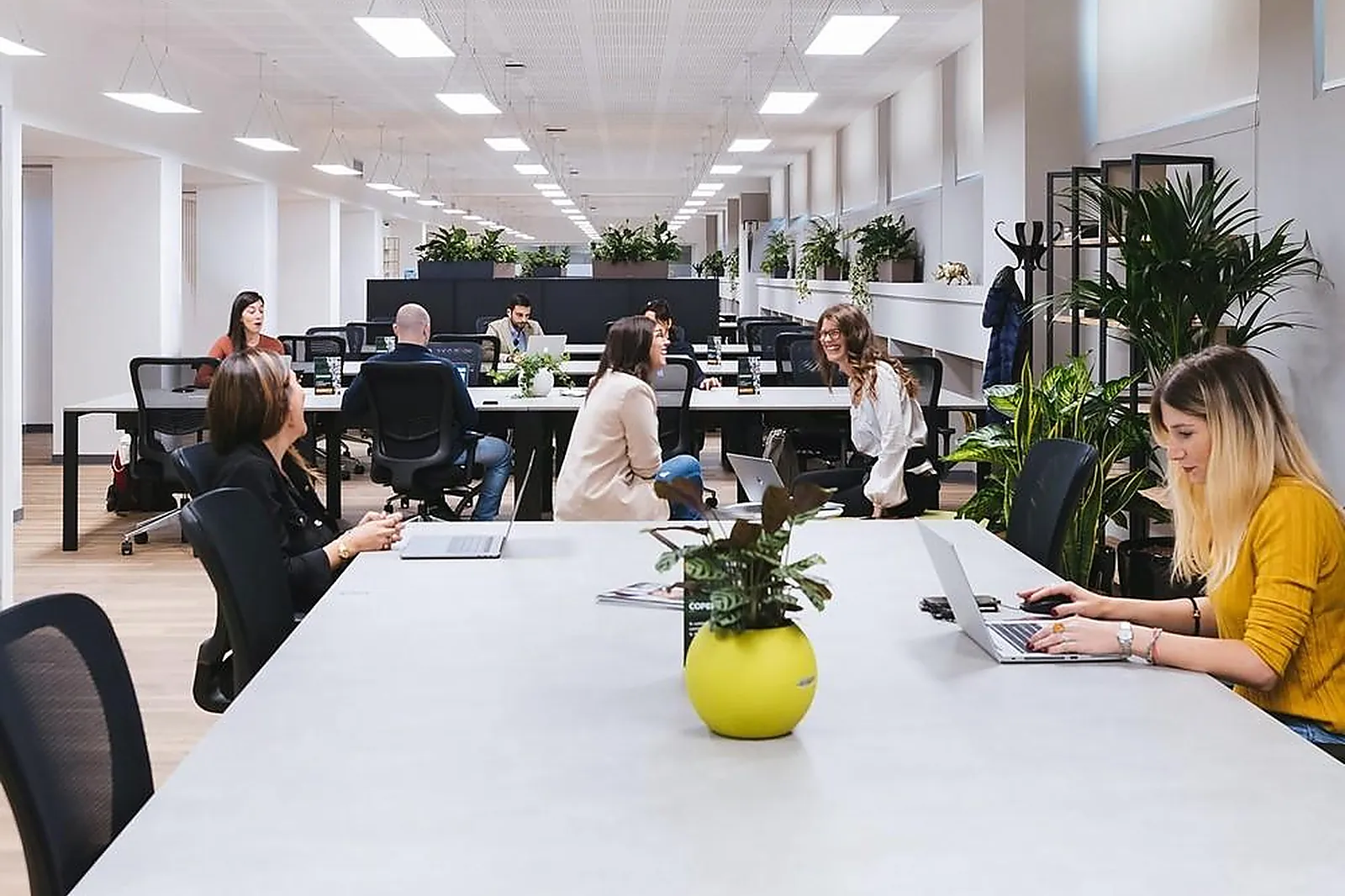 Lieux événementiels, GROTTE COSQUER