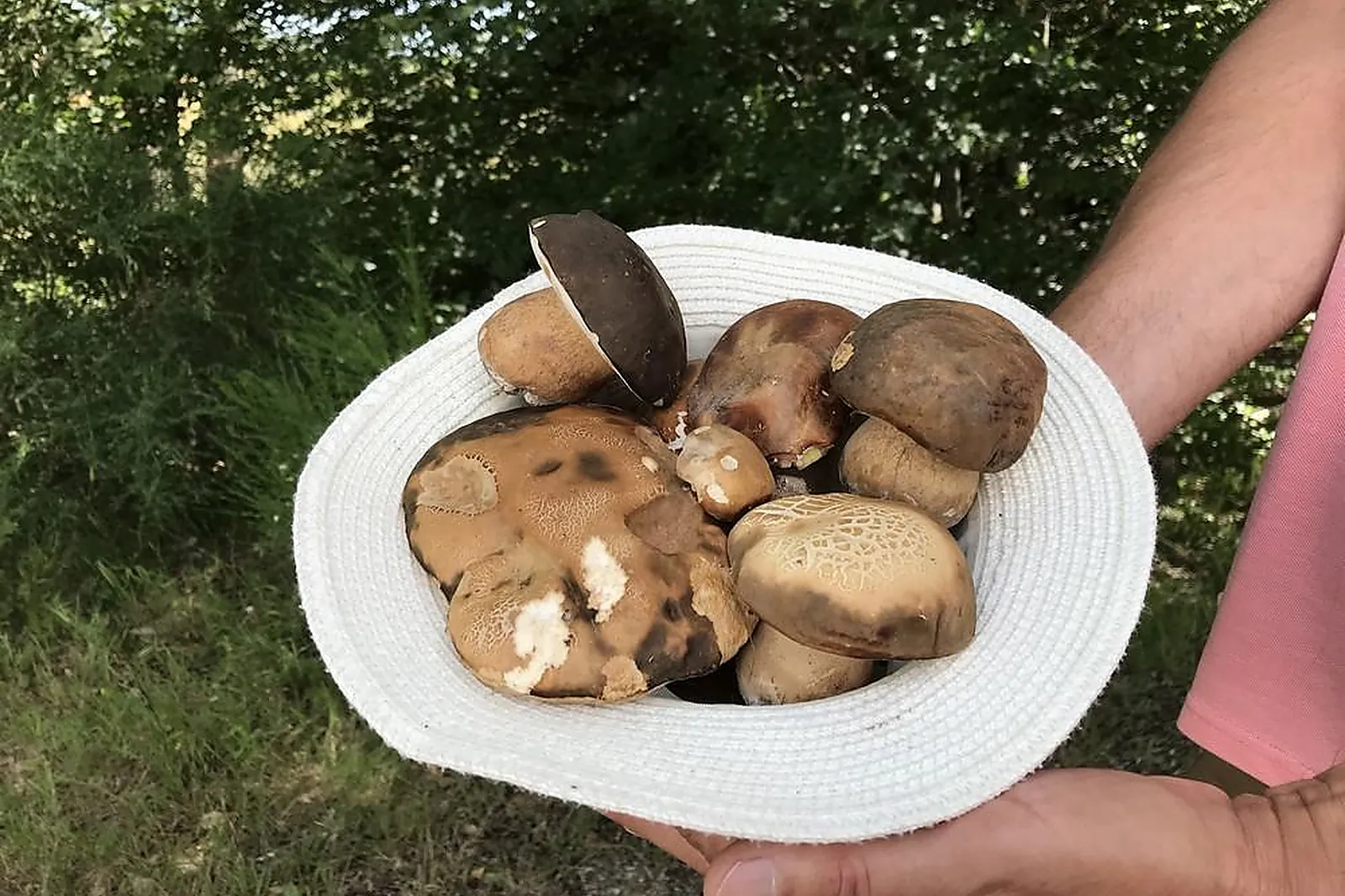 Lieux événementiels, HAMEAU DES DAMAYOTS