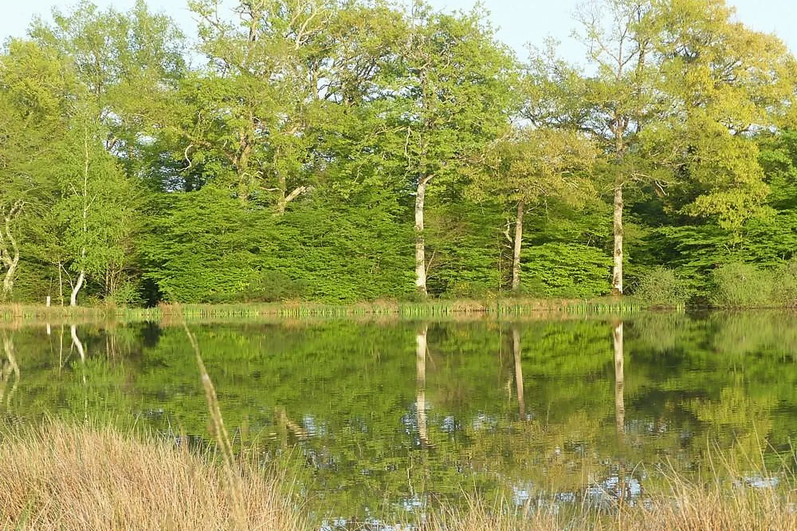 Lieux événementiels, HAMEAU DES DAMAYOTS