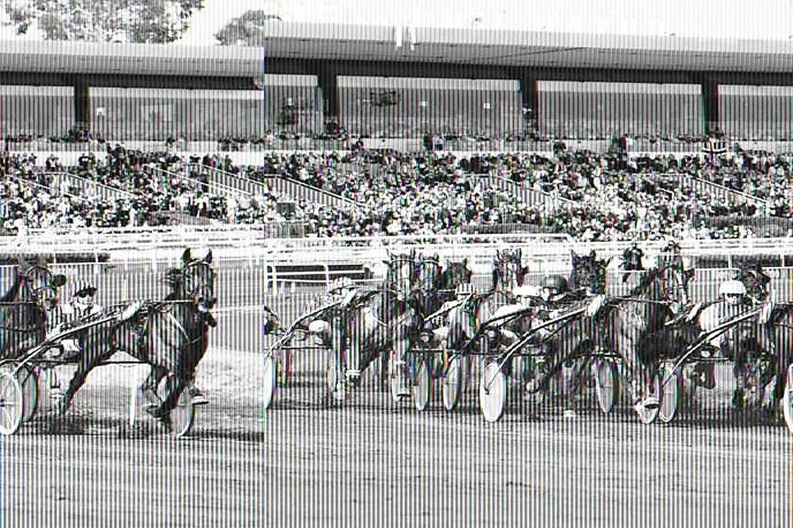 Lieux événementiels, HIPPODROME DE LA CÔTE D'AZUR