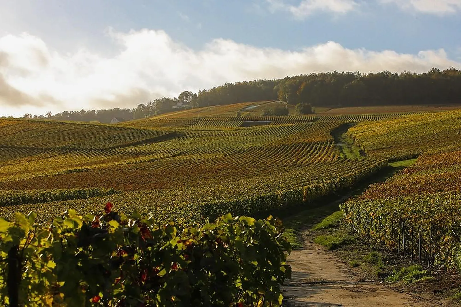 Lieux événementiels, HOSTELLERIE LA BRIQUETERIE