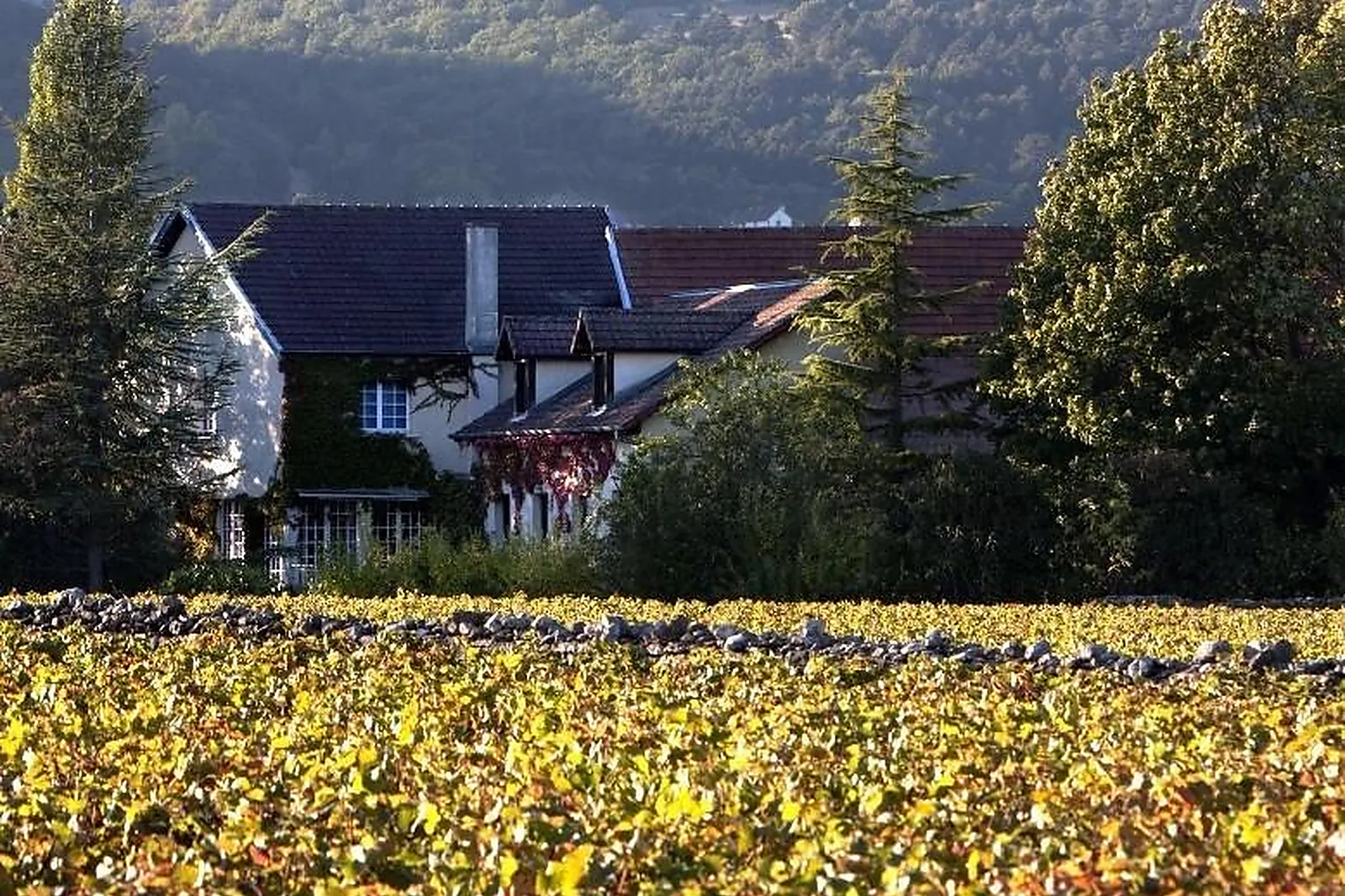 Lieux événementiels, HÔTEL ARTS ET TERROIRS