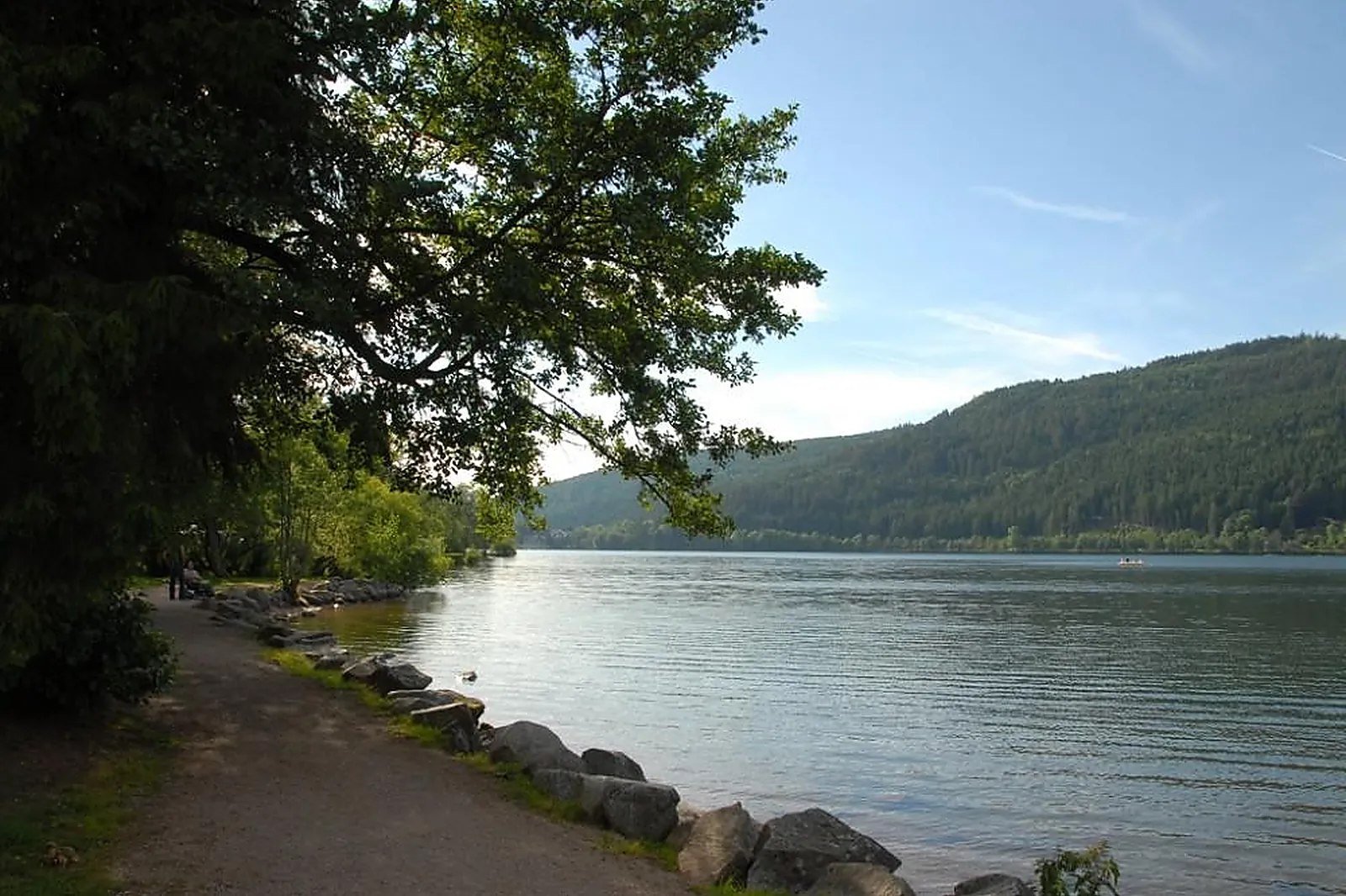 Lieux événementiels, HÔTEL BEAU RIVAGE GÉRARDMER