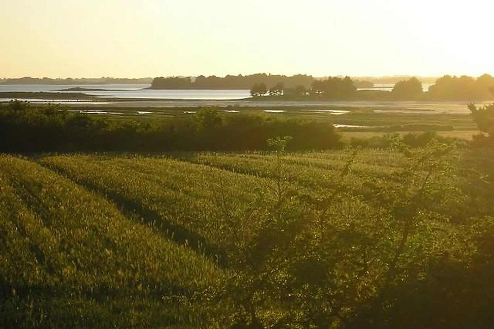 Lieux événementiels, HÔTEL CHEVALIER GAMBETTE