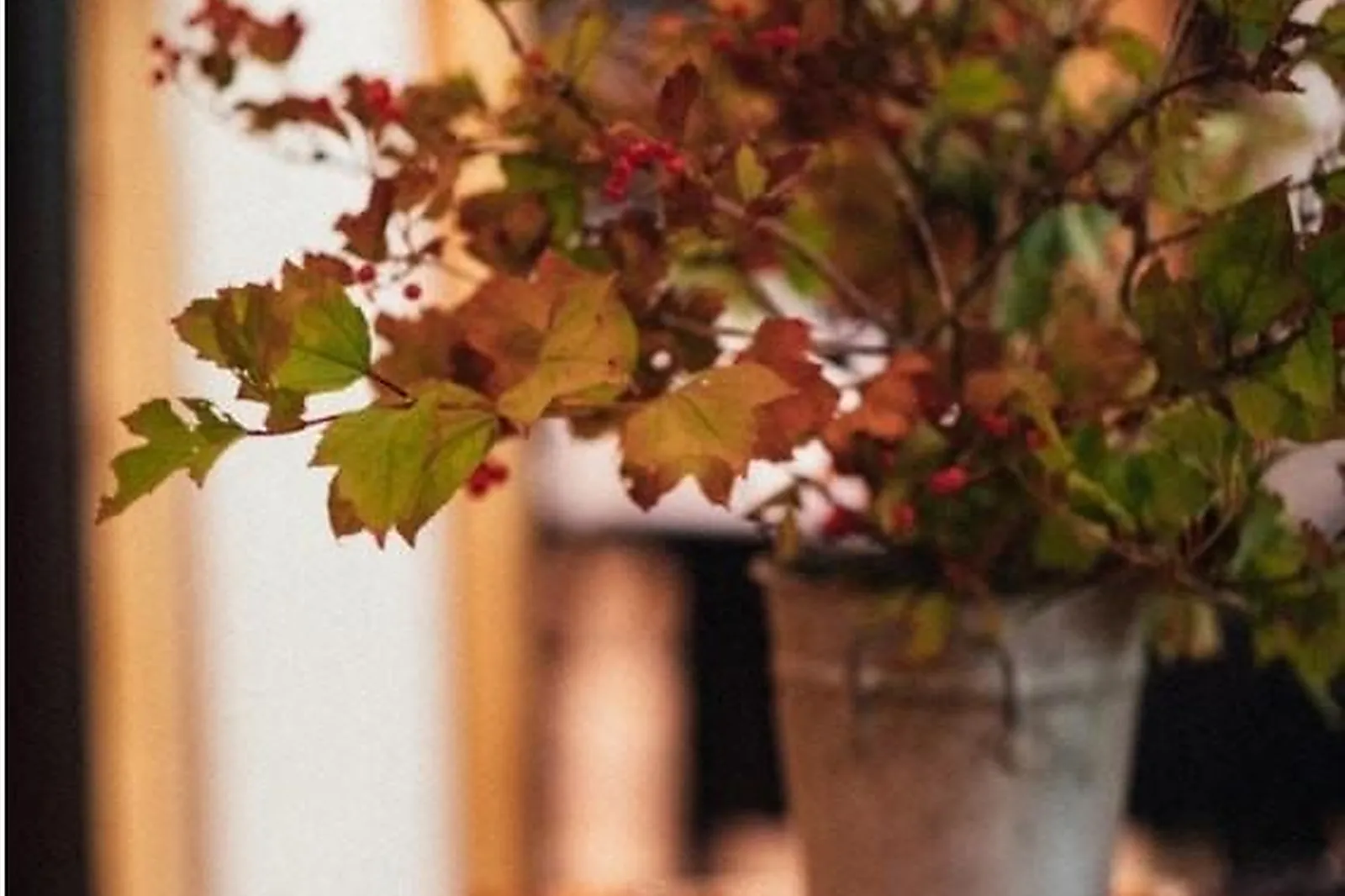 Lieux événementiels, HÔTEL L'ARBOISIE