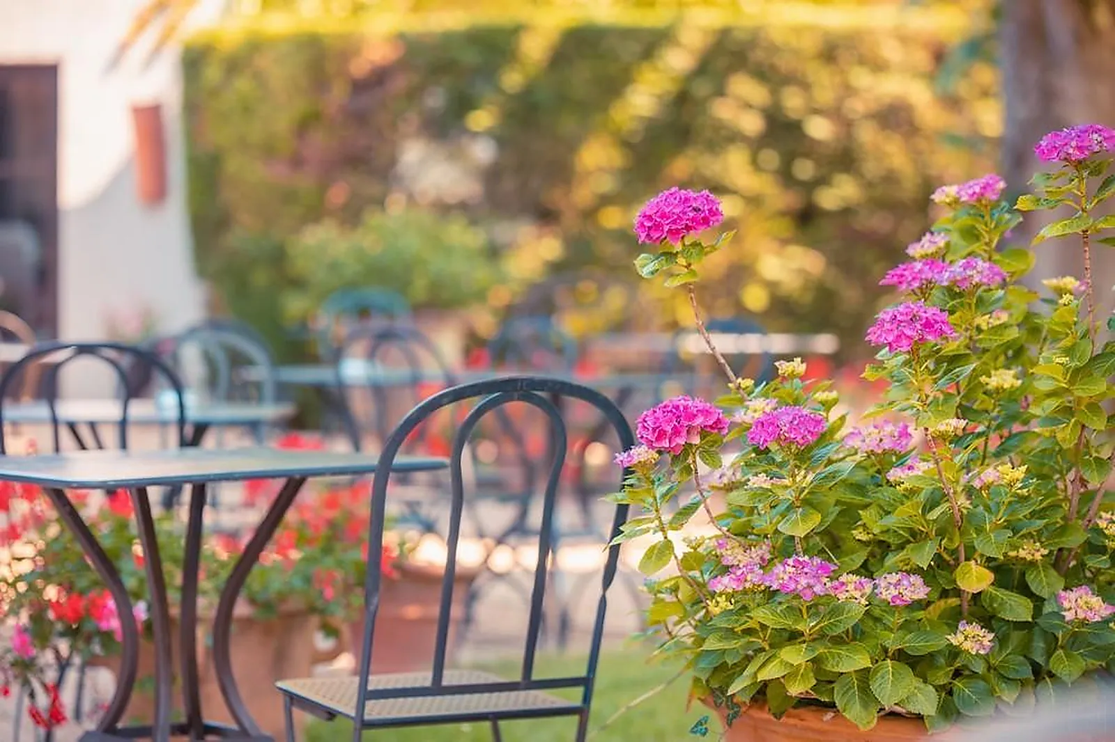 Lieux événementiels, HÔTEL LE DONJON - COEUR DE LA CITÉ MÉDIÉVALE