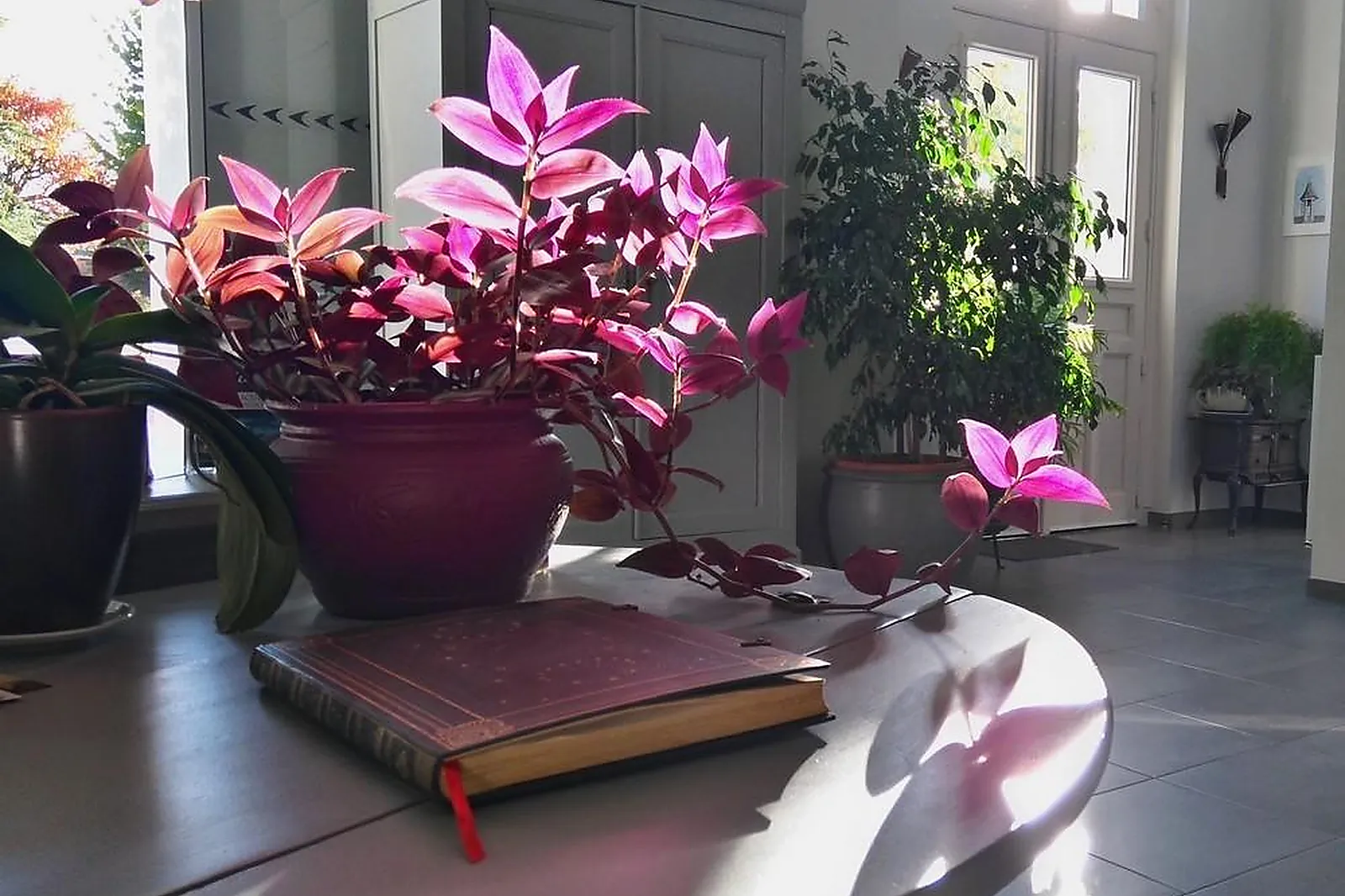 Lieux événementiels, HÔTEL LE HAUT DES LYS