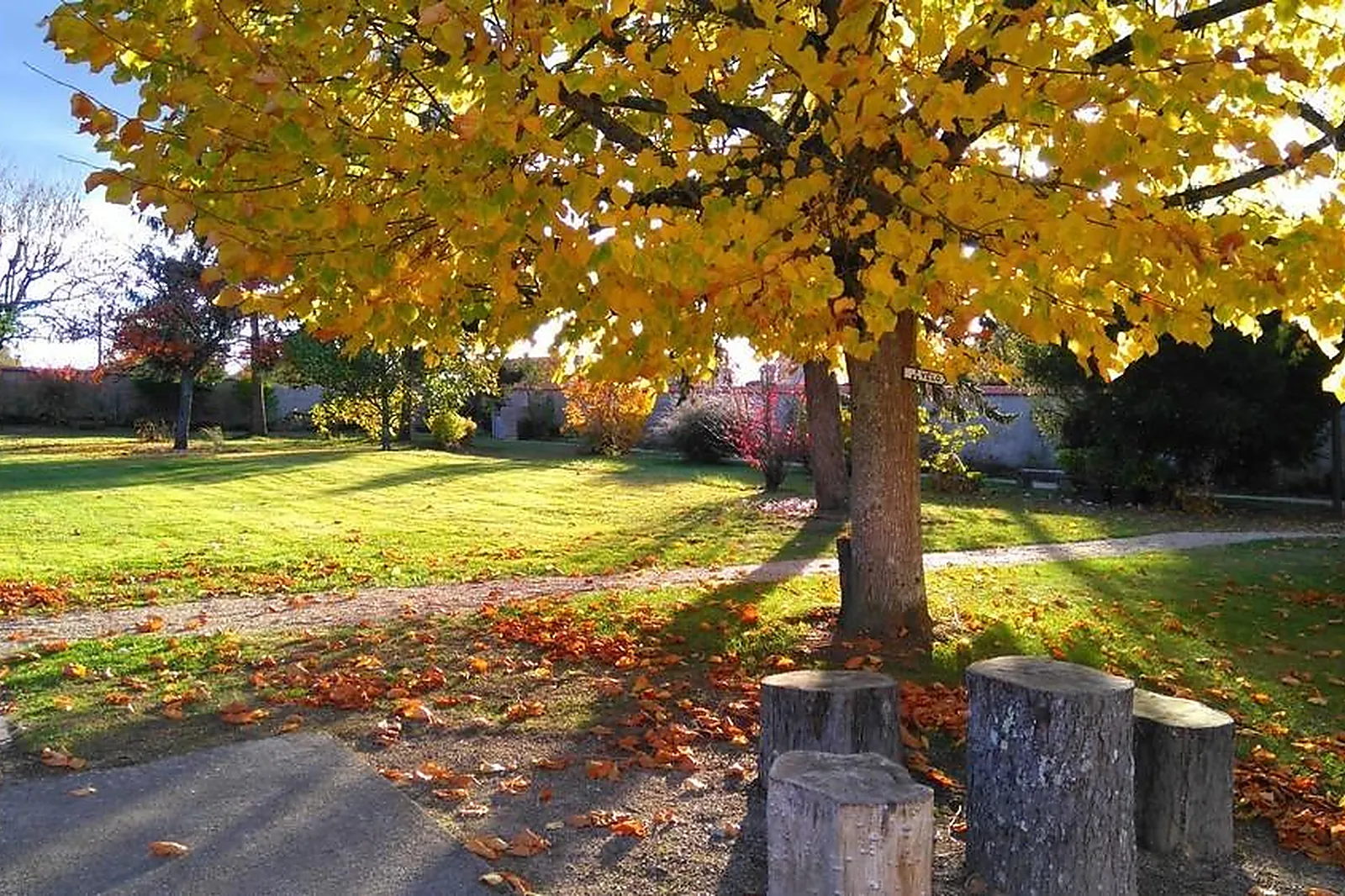 Lieux événementiels, HÔTEL LE HAUT DES LYS