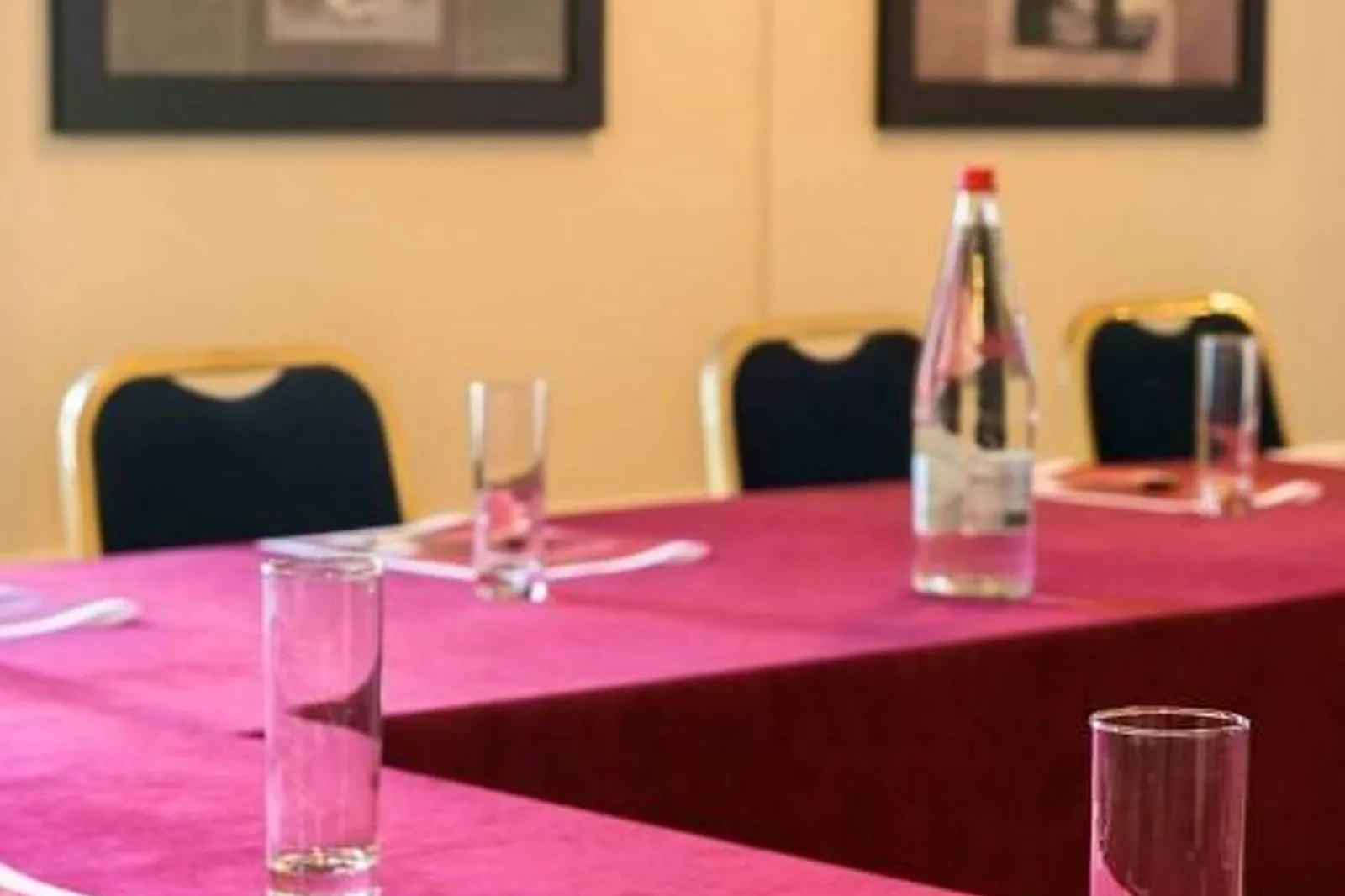 Lieux événementiels, HOTEL REGINA ET SPA