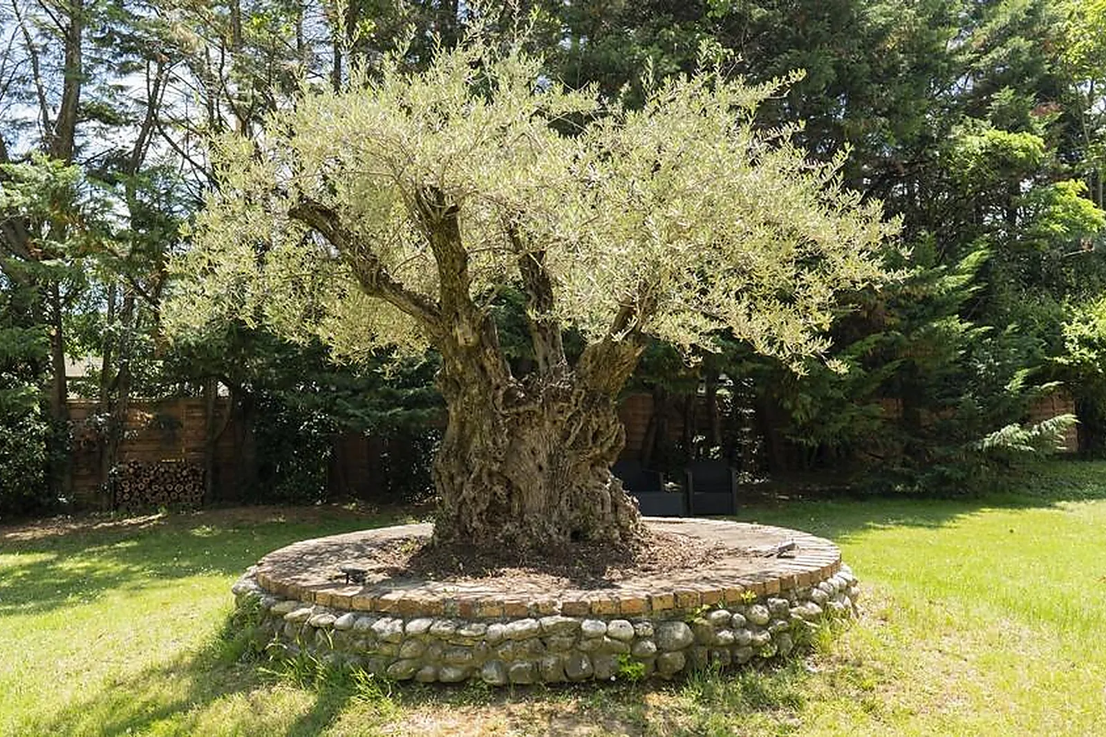 Lieux événementiels, HÔTEL RESTAURANT LES OLIVIERS
