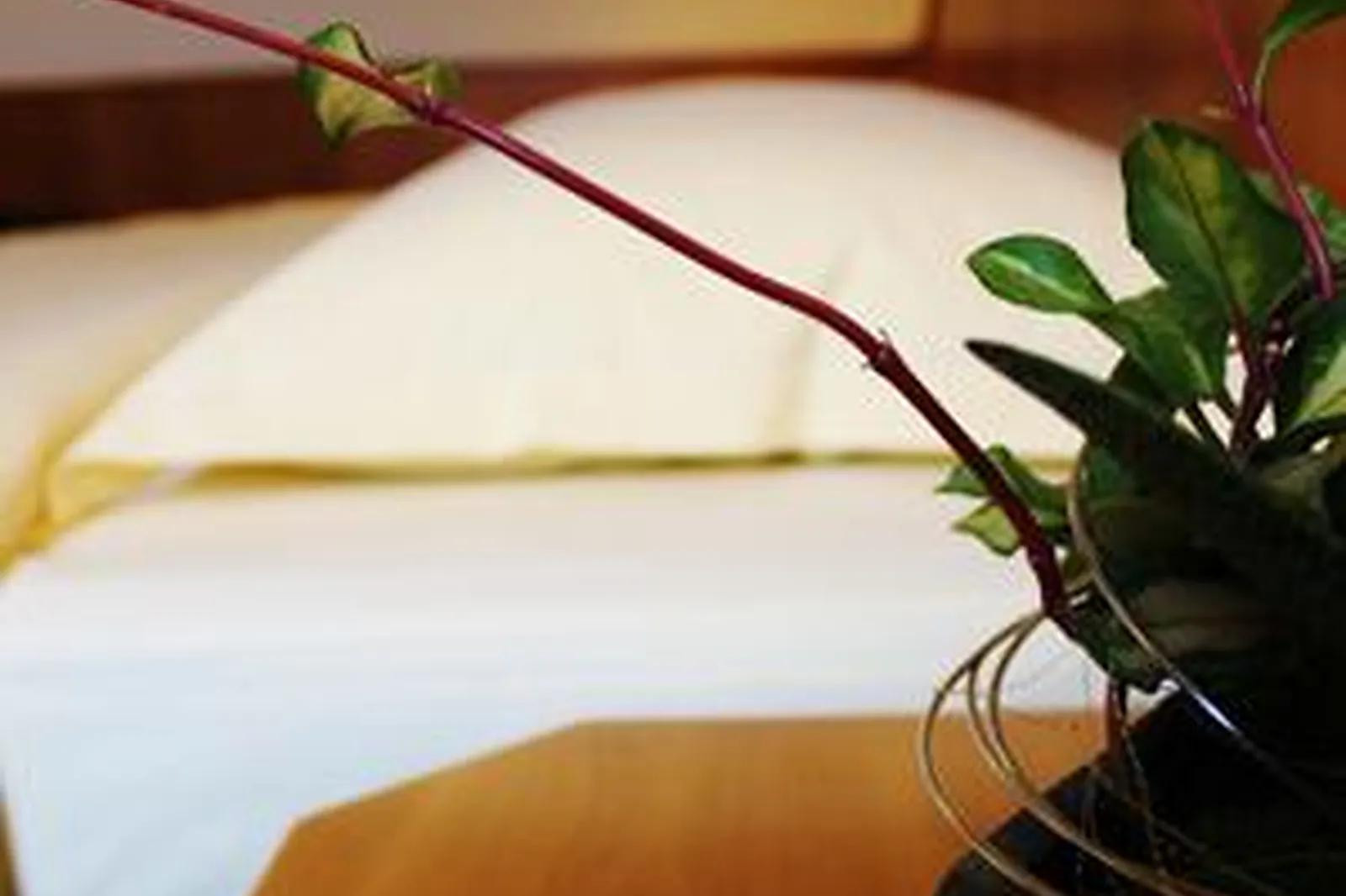 Lieux événementiels, HÔTEL AU BOEUF