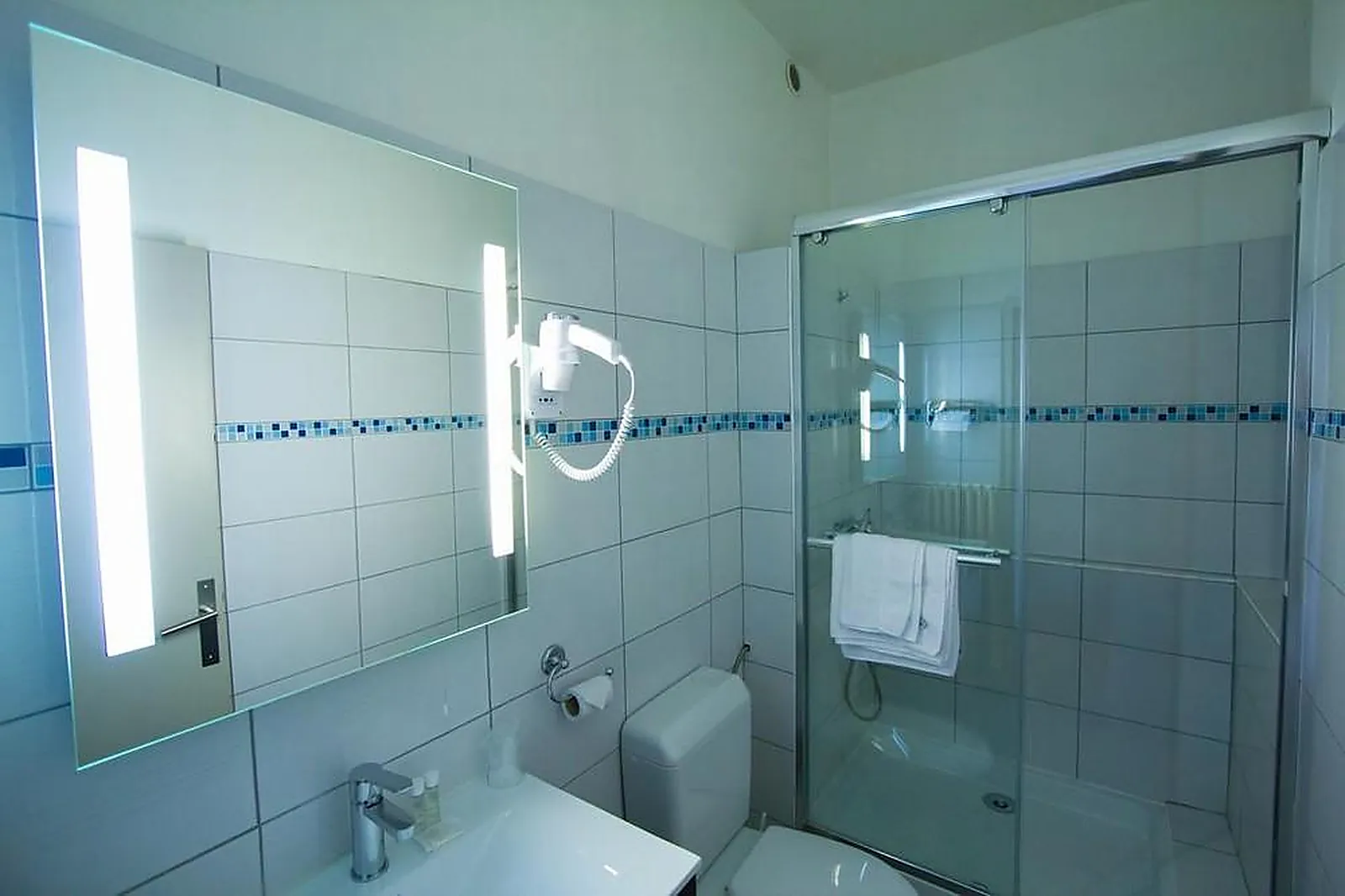 Lieux événementiels, HÔTEL DE L’EUROPE GRENOBLE HYPER CENTRE