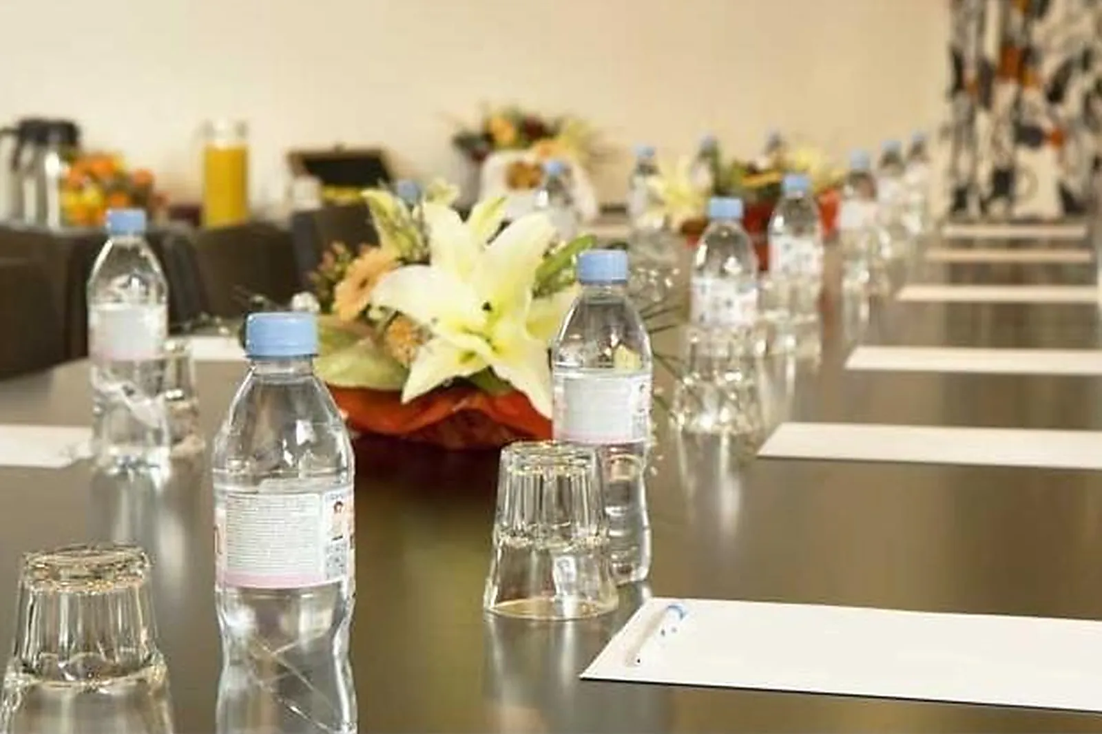 Lieux événementiels, HÔTEL DU BAOU