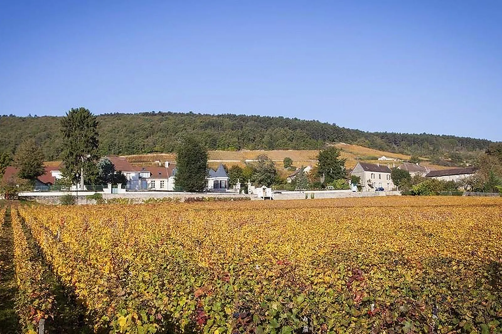 Lieux événementiels, HÔTEL LES GRANDS CRUS