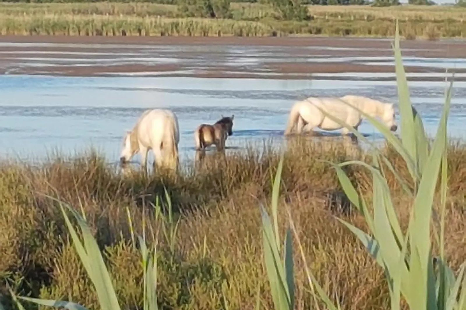 Lieux événementiels, HÔTEL LES RIZIÈRES