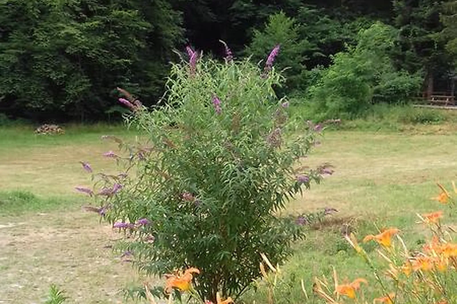 Lieux événementiels, HOTELLERIE DE LA CASCADE