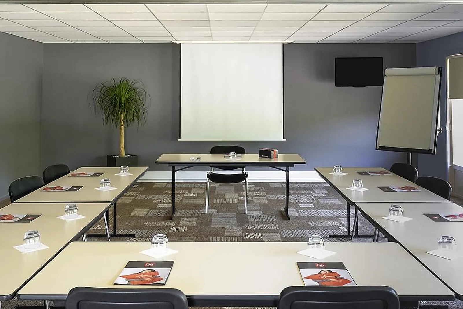 Lieux événementiels, IBIS ROANNE