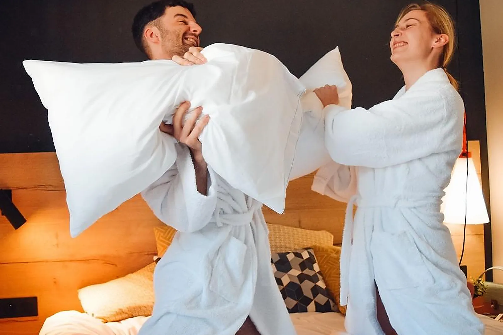 Lieux événementiels, IBIS STYLES CROLLES GRENOBLE A41