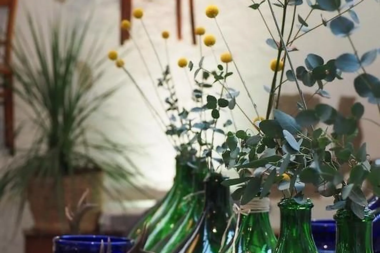 Lieux événementiels, IN STED