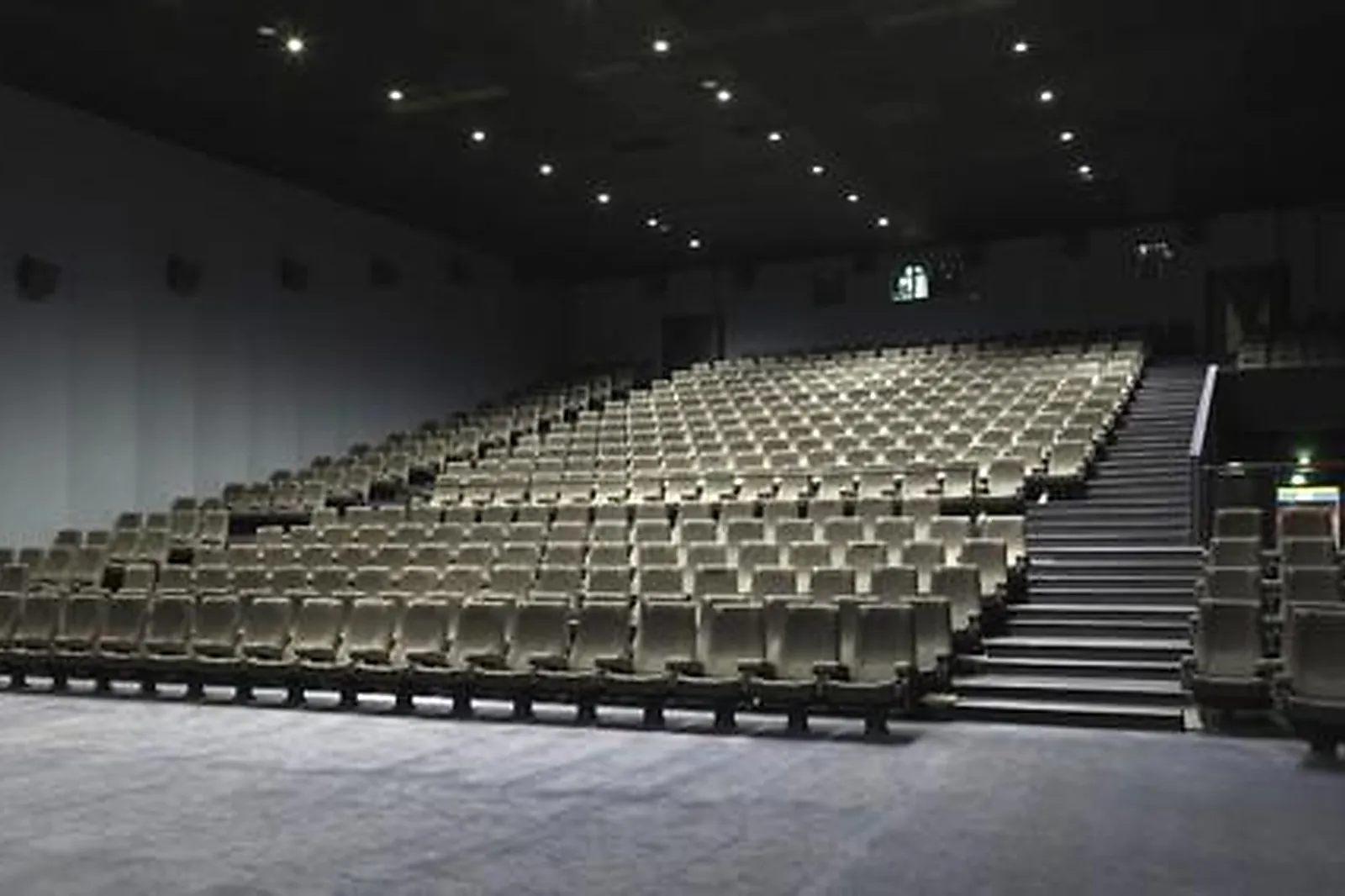 Lieux événementiels, KINEPOLIS DE MULHOUSE