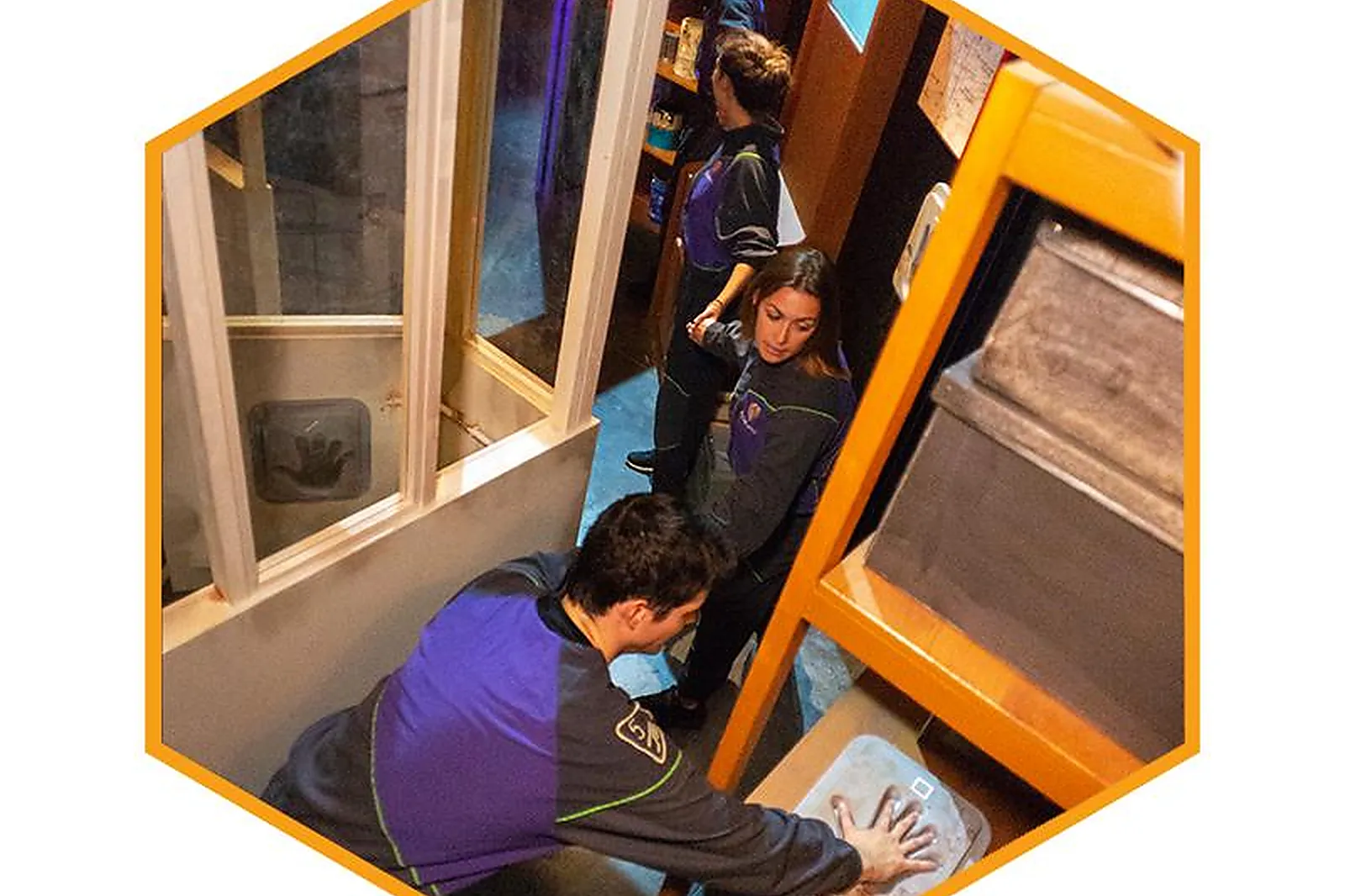 Lieux événementiels, KOEZIO CERGY