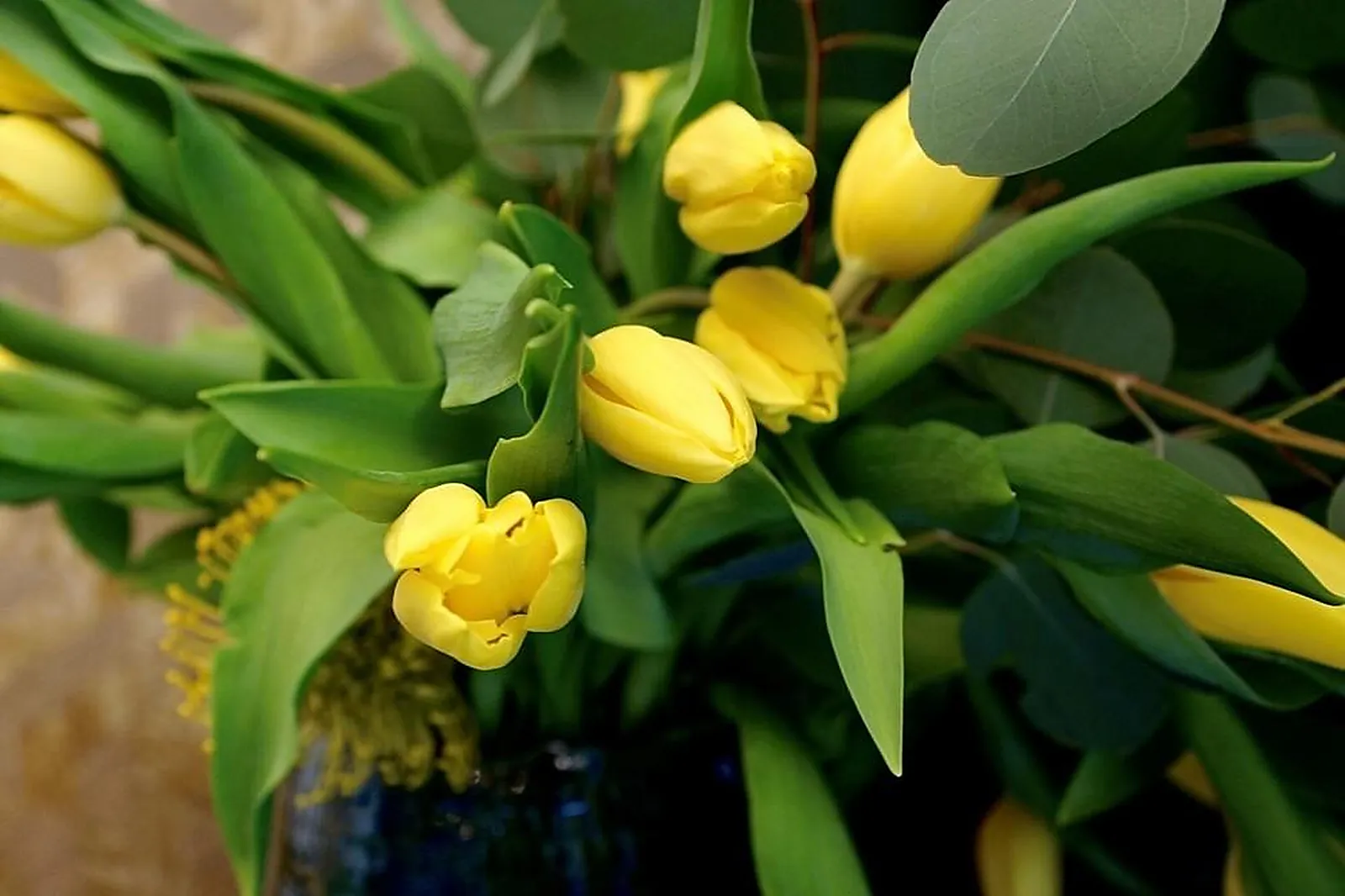 Lieux événementiels, KOLAAB