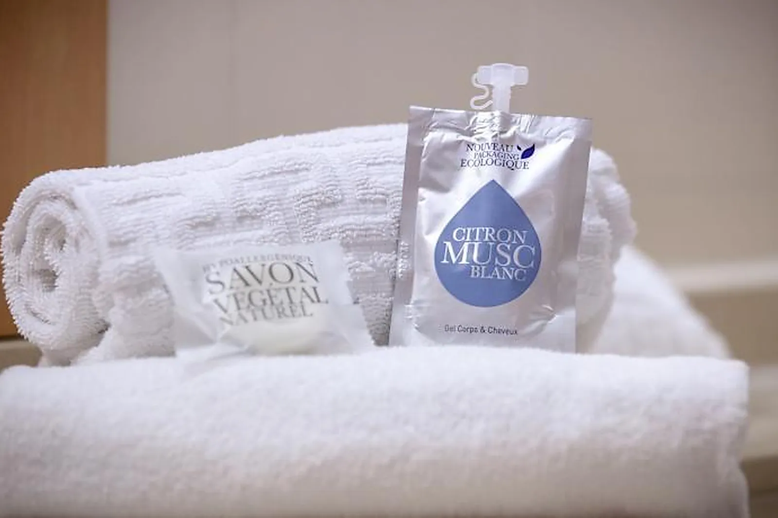 Lieux événementiels, KYRIAD MACON NORD SANCÉ PARC DES EXPOSITIONS