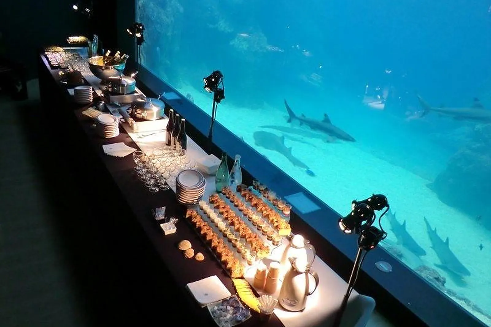 Lieux événementiels, LL&RSQUO;AQUARIUM DE LYON