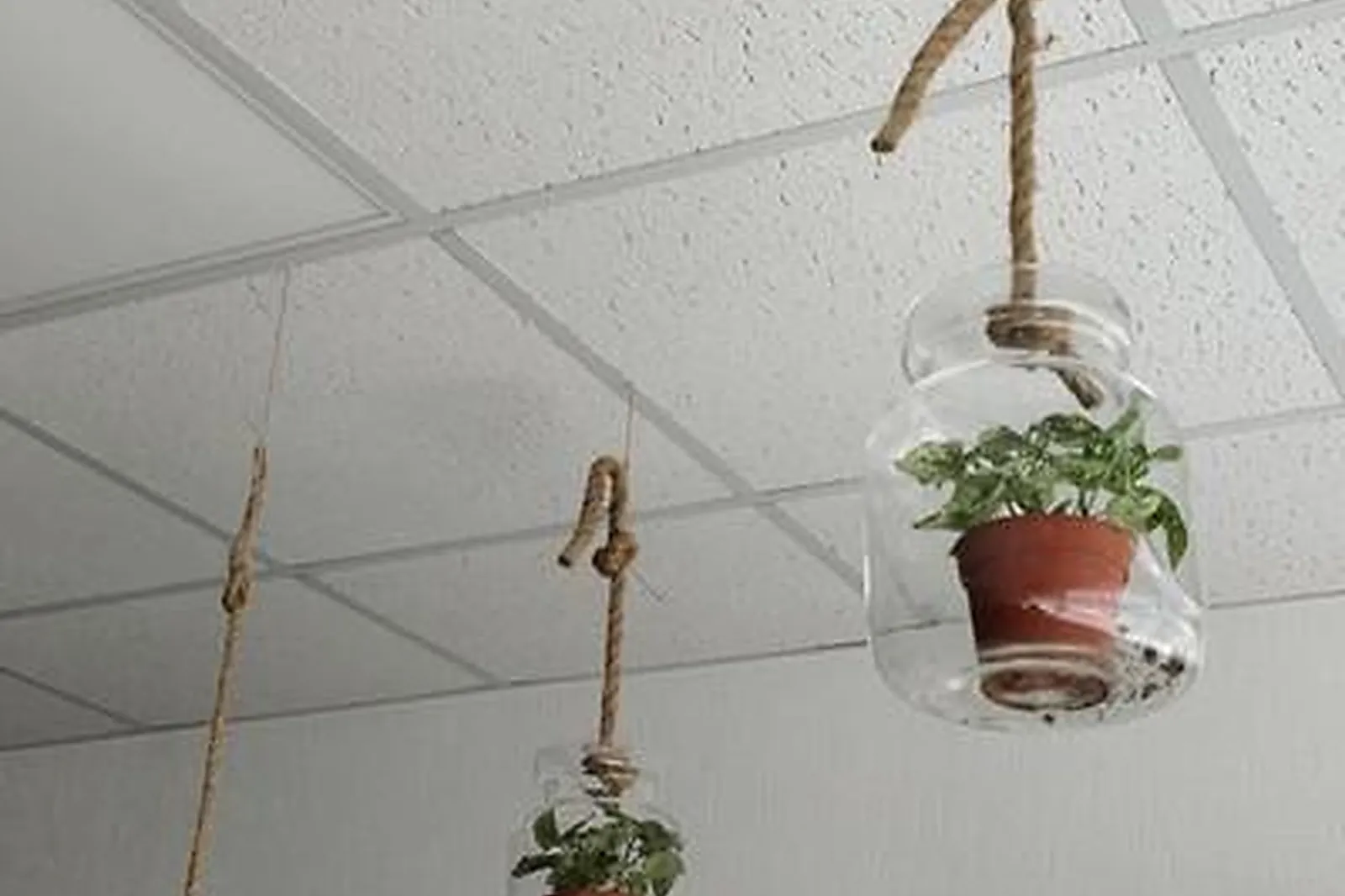 Lieux événementiels, LL&RSQUO;ESCA-LAB