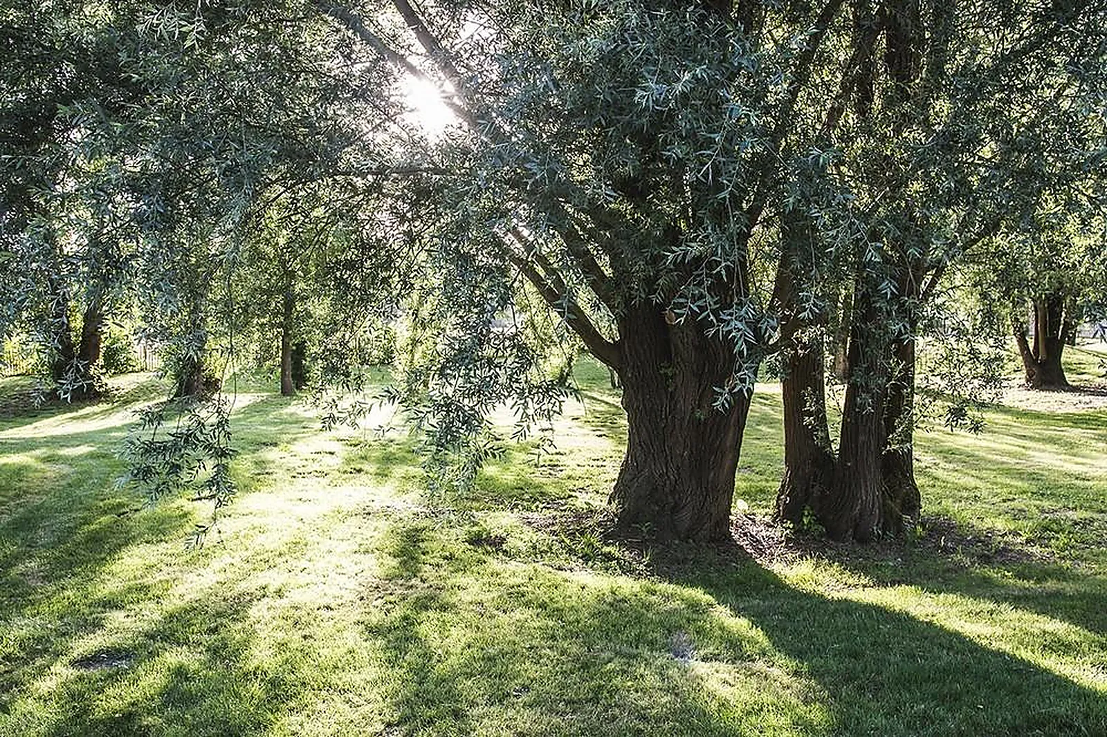Lieux événementiels, LL&RSQUO;ESCALE DES CHÂTEAUX DE LA LOIRE