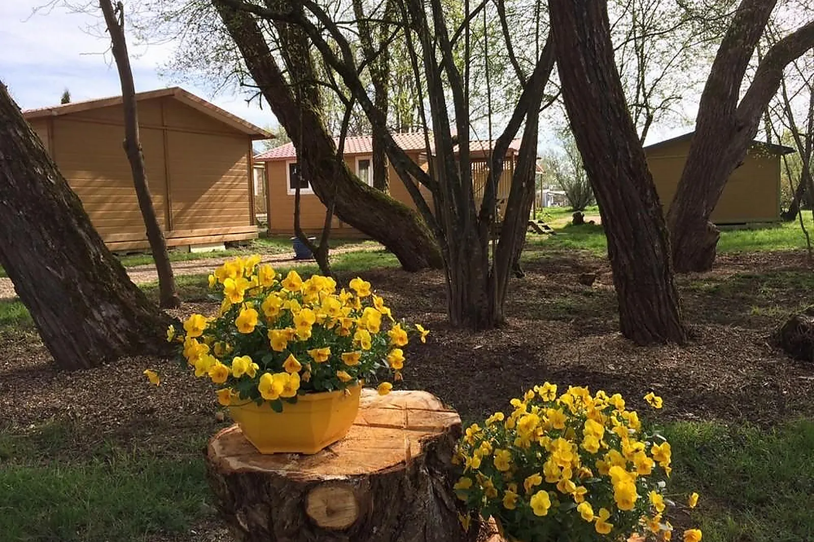 Lieux événementiels, LL&RSQUO;ETANG DES FORGES