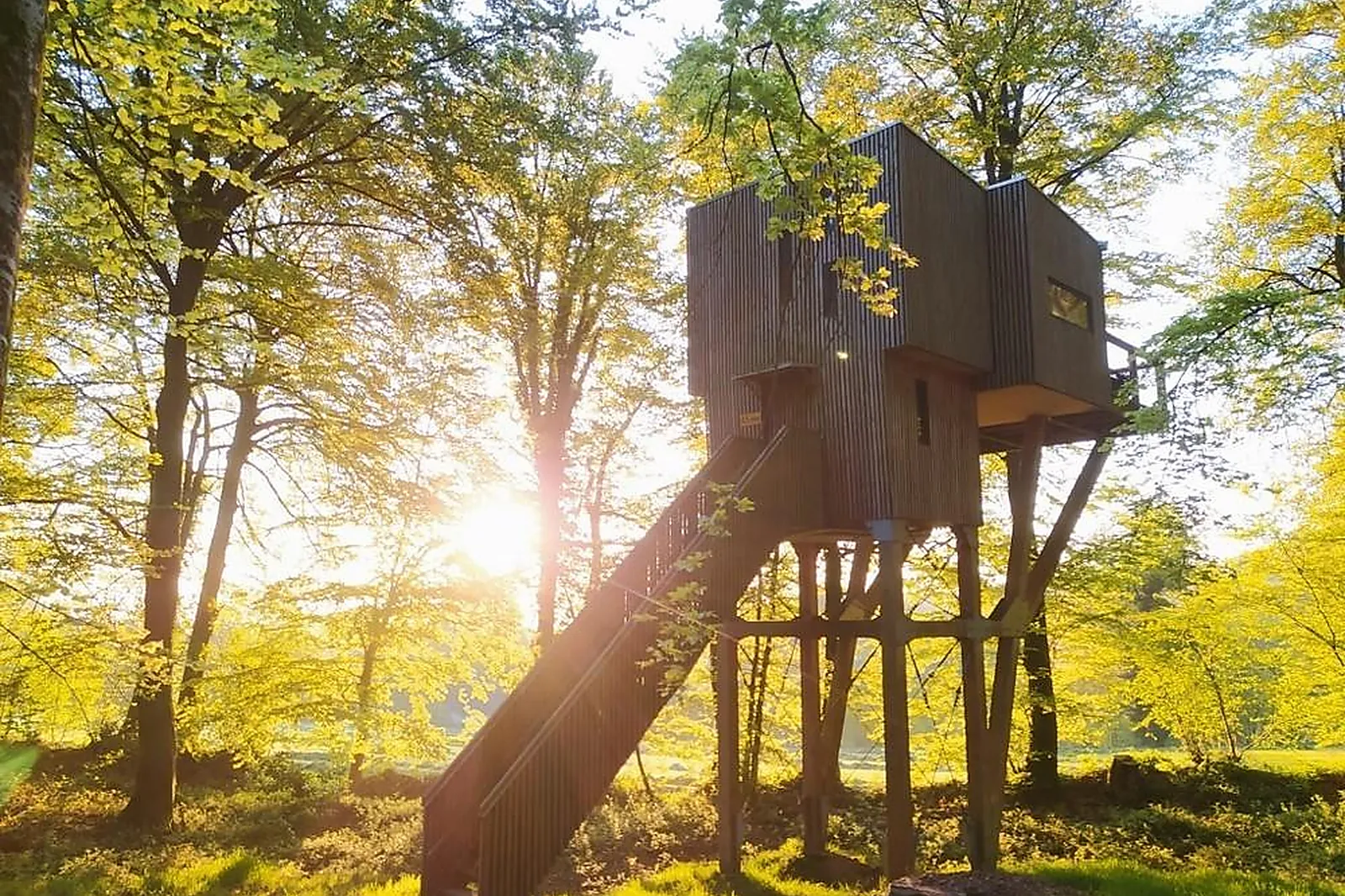Lieux événementiels, LL&RSQUO;ETAPE EN FORÊT