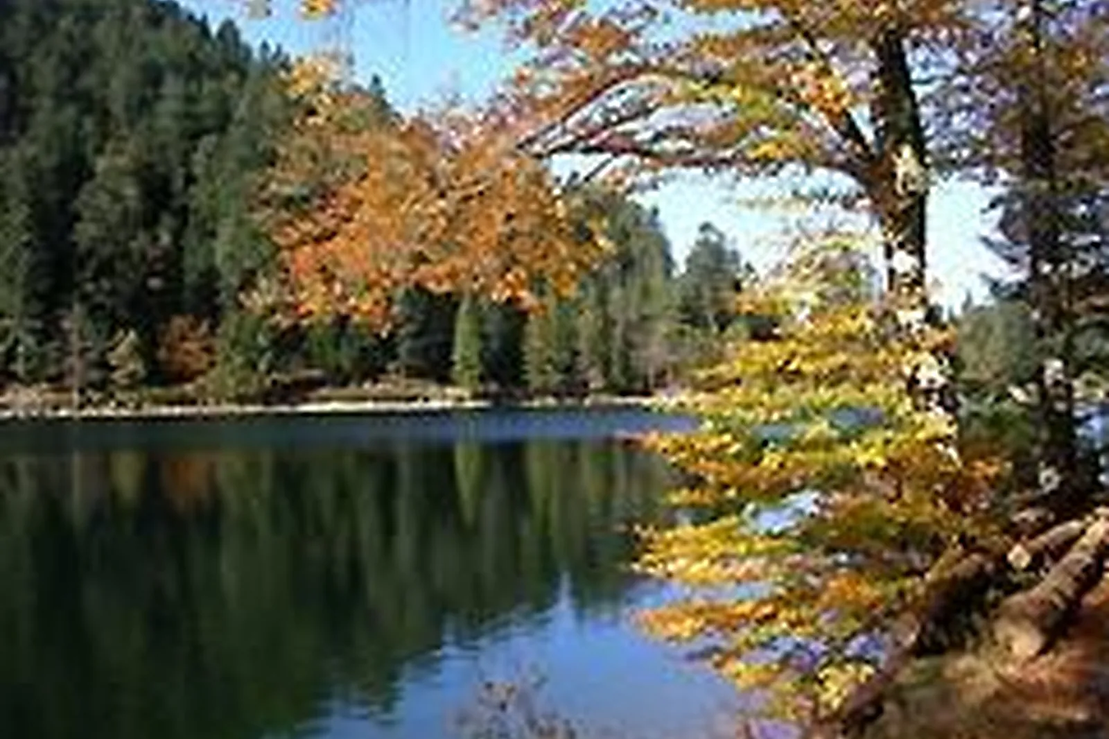 Lieux événementiels, LL&RSQUO;HÔTEL DE BRESSE