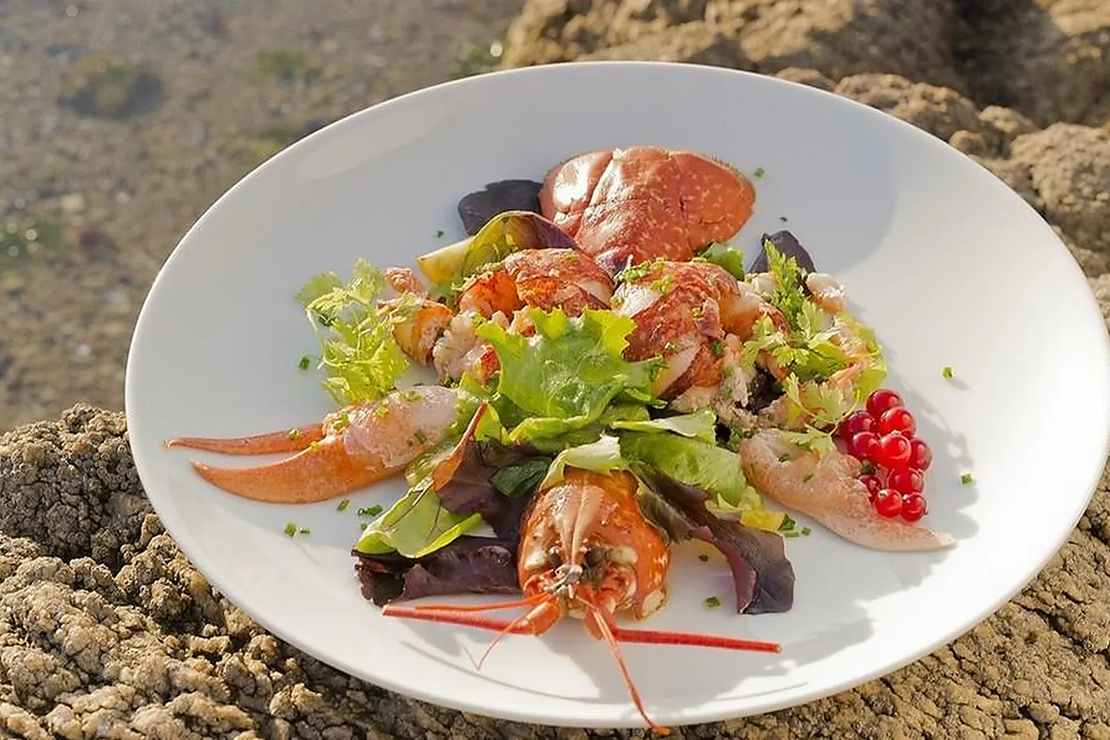 Lieux événementiels, LL&RSQUO;OCÉAN