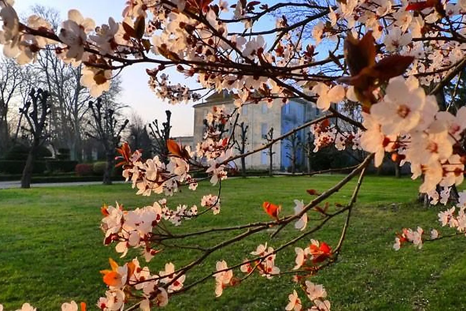 Lieux événementiels, L'ORANGERIE - CHÂTEAU DE LACOSTE