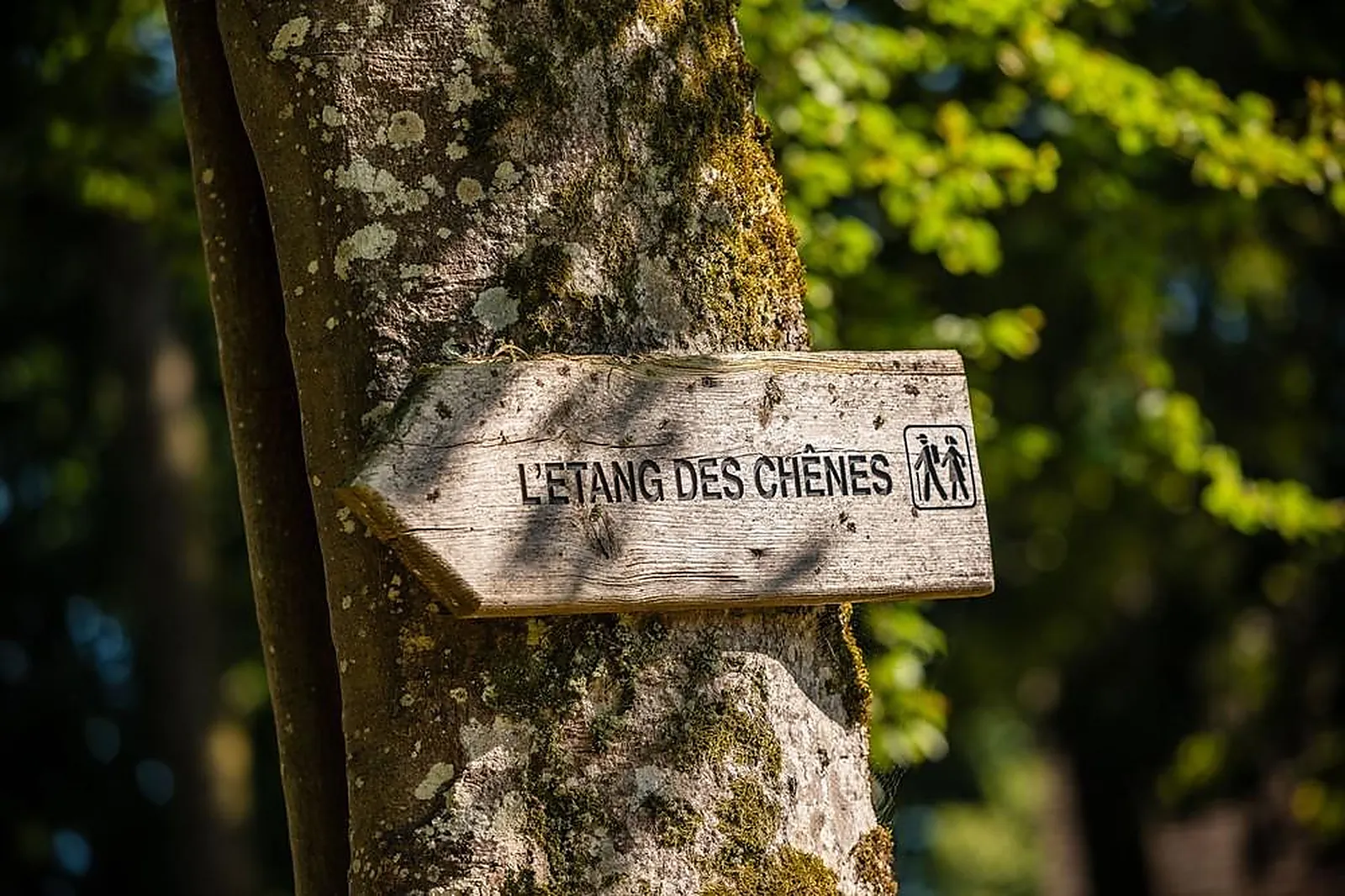 Lieux événementiels, LA CHAPELLE SAINT MARTIN