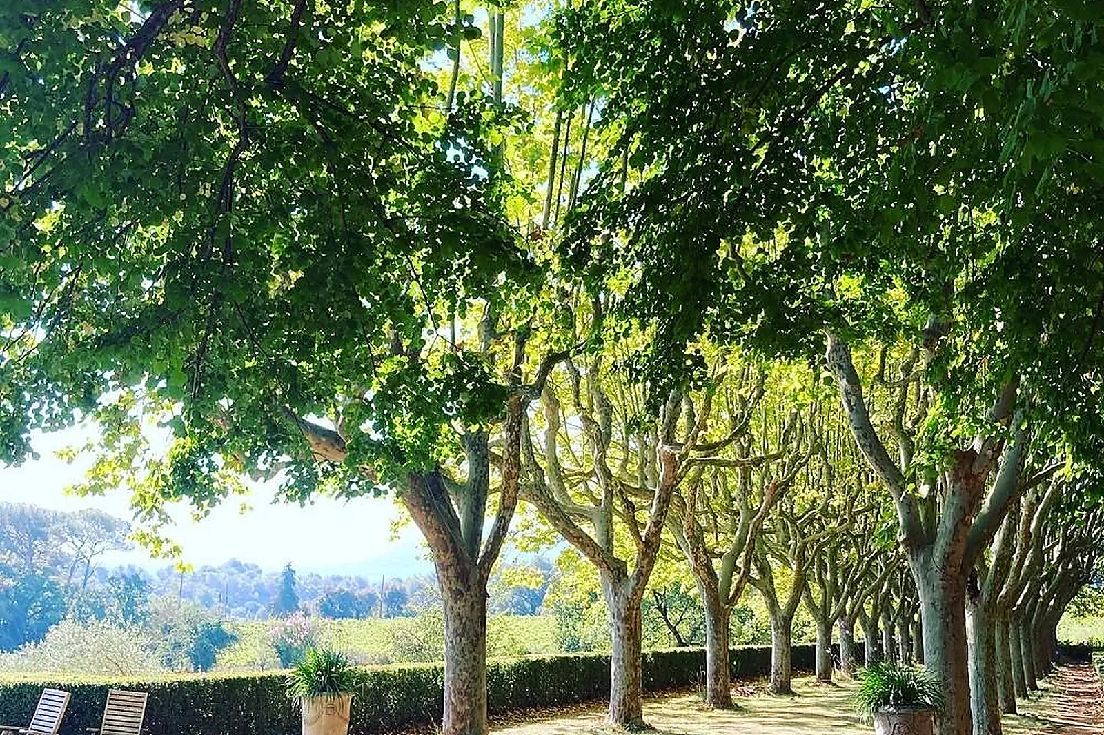 Lieux événementiels, LA FÉRAUDE