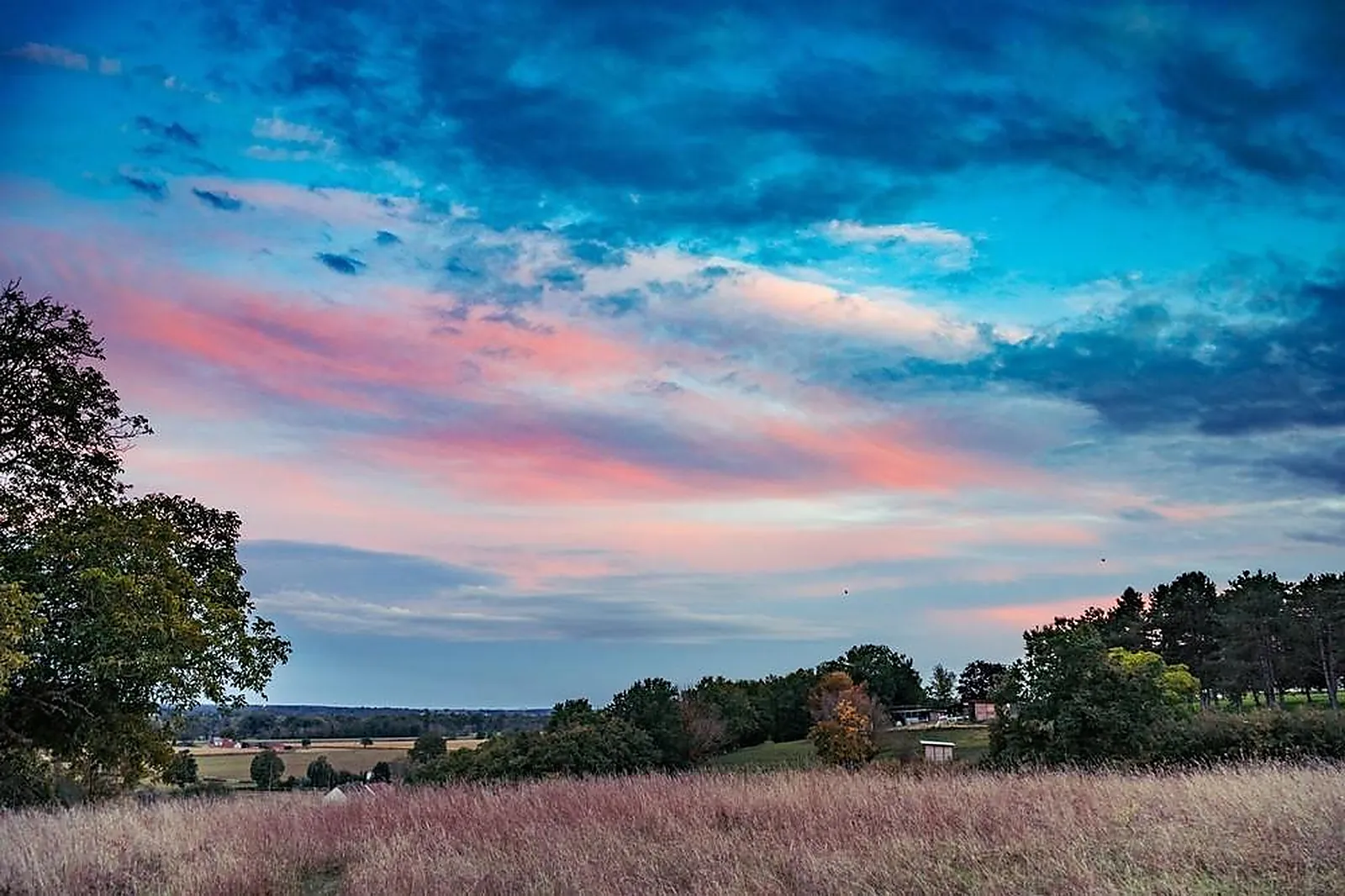 Lieux événementiels, LA FERME BLEUE