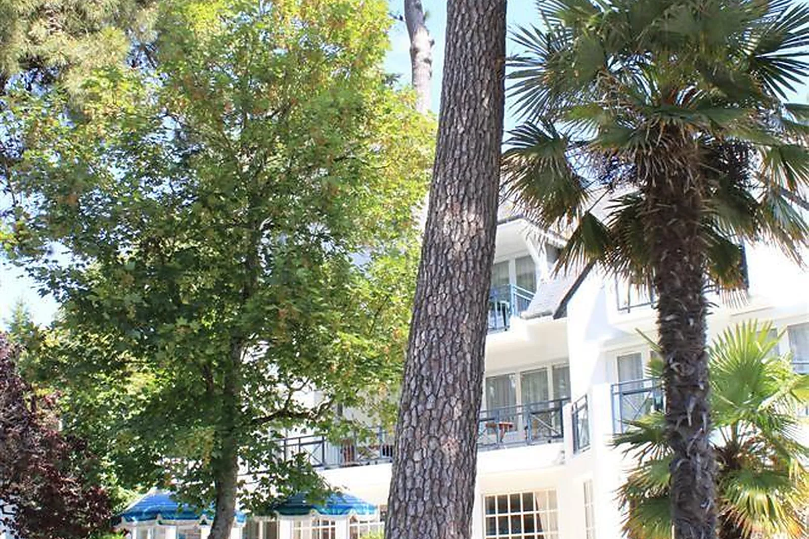 Lieux événementiels, LA MASCOTTE