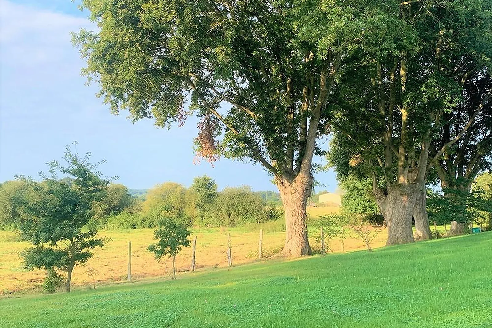Lieux événementiels, LA MAUVILLIÈRE