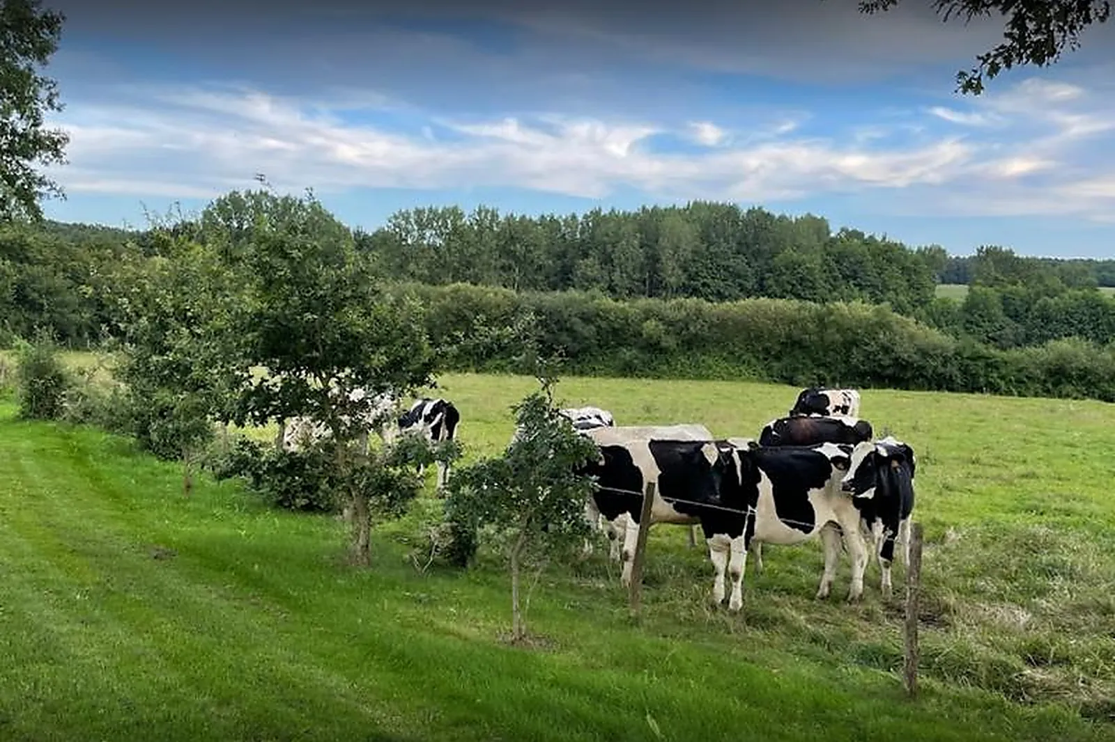 Lieux événementiels, LA MAUVILLIÈRE