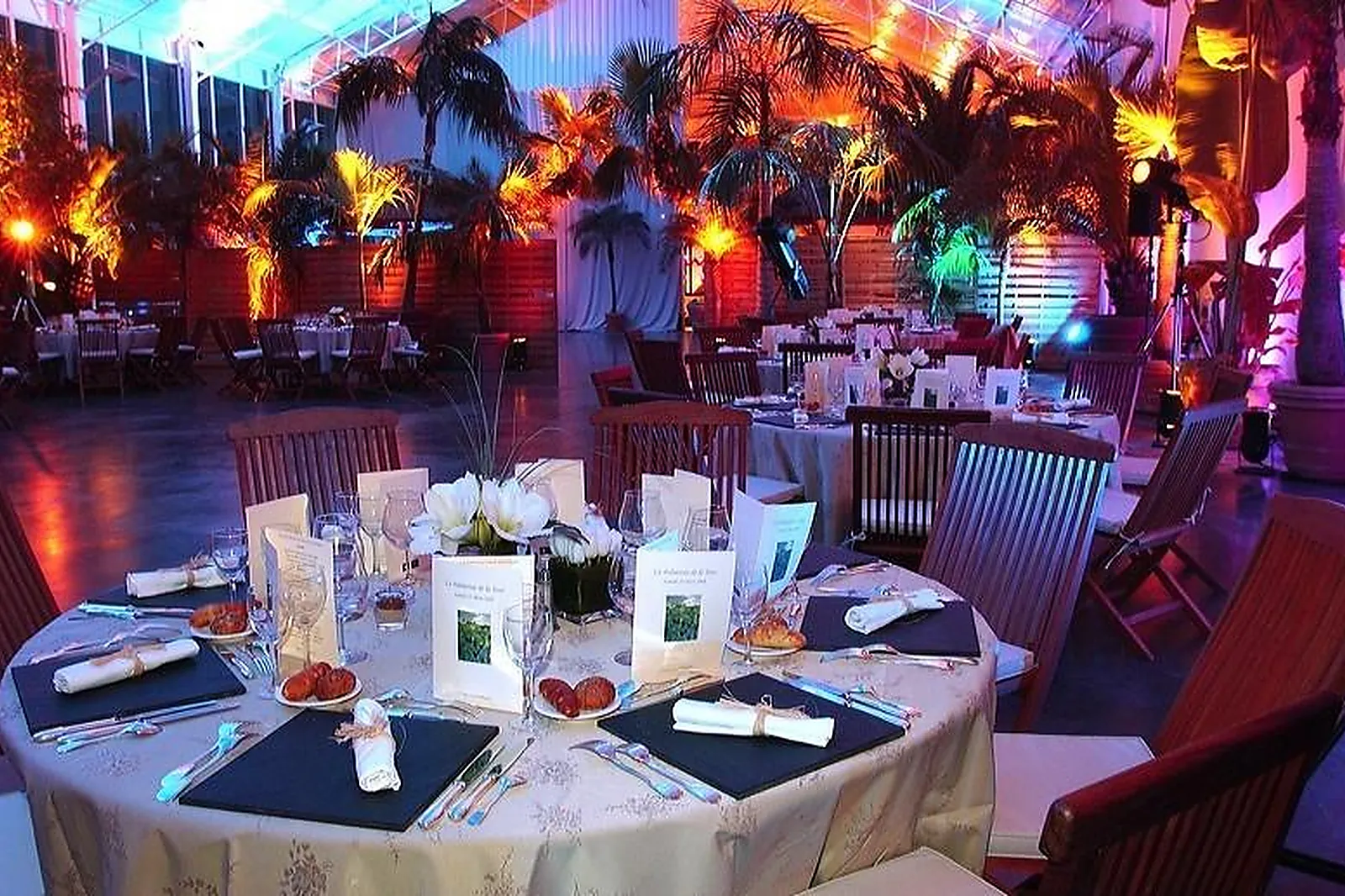 Lieux événementiels, LA PALMERAIE DE LA TOUR