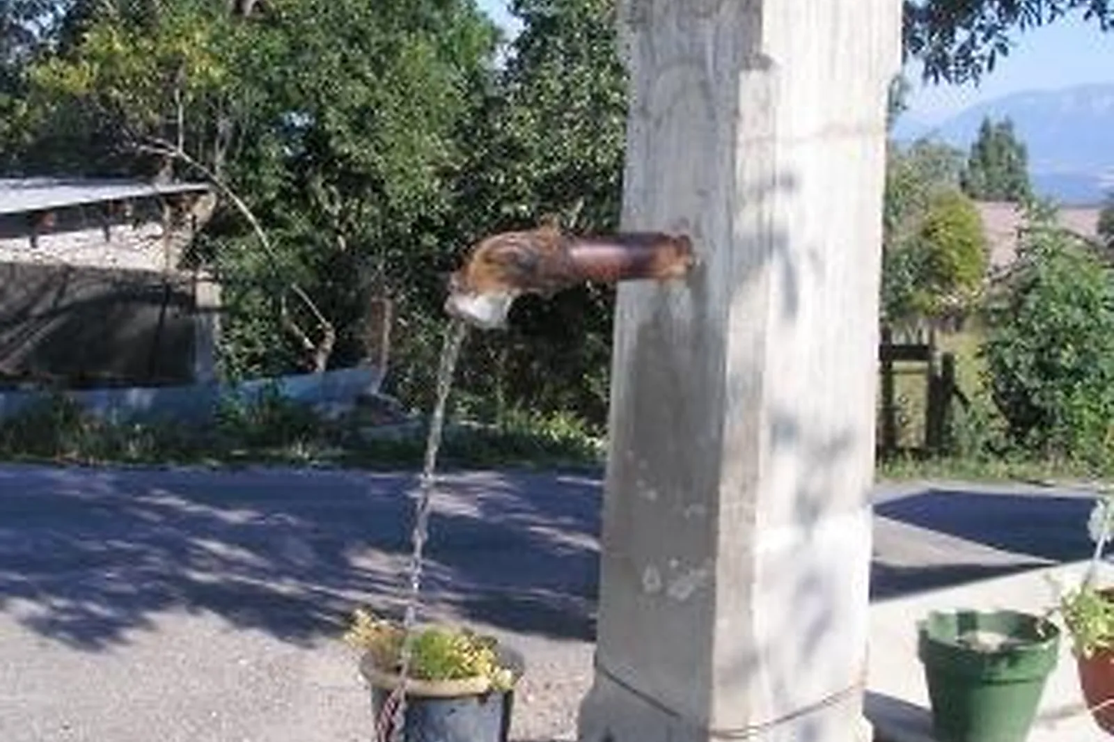 Lieux événementiels, LA PASTORALE