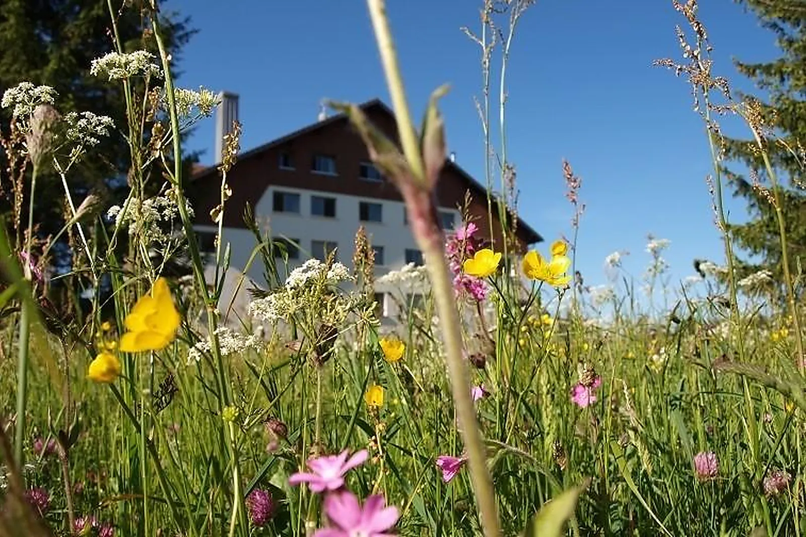 Lieux événementiels, LA ROCHE DU TRESOR