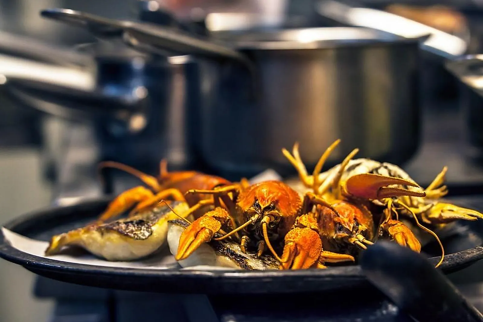 Lieux événementiels, LA TABLE 101